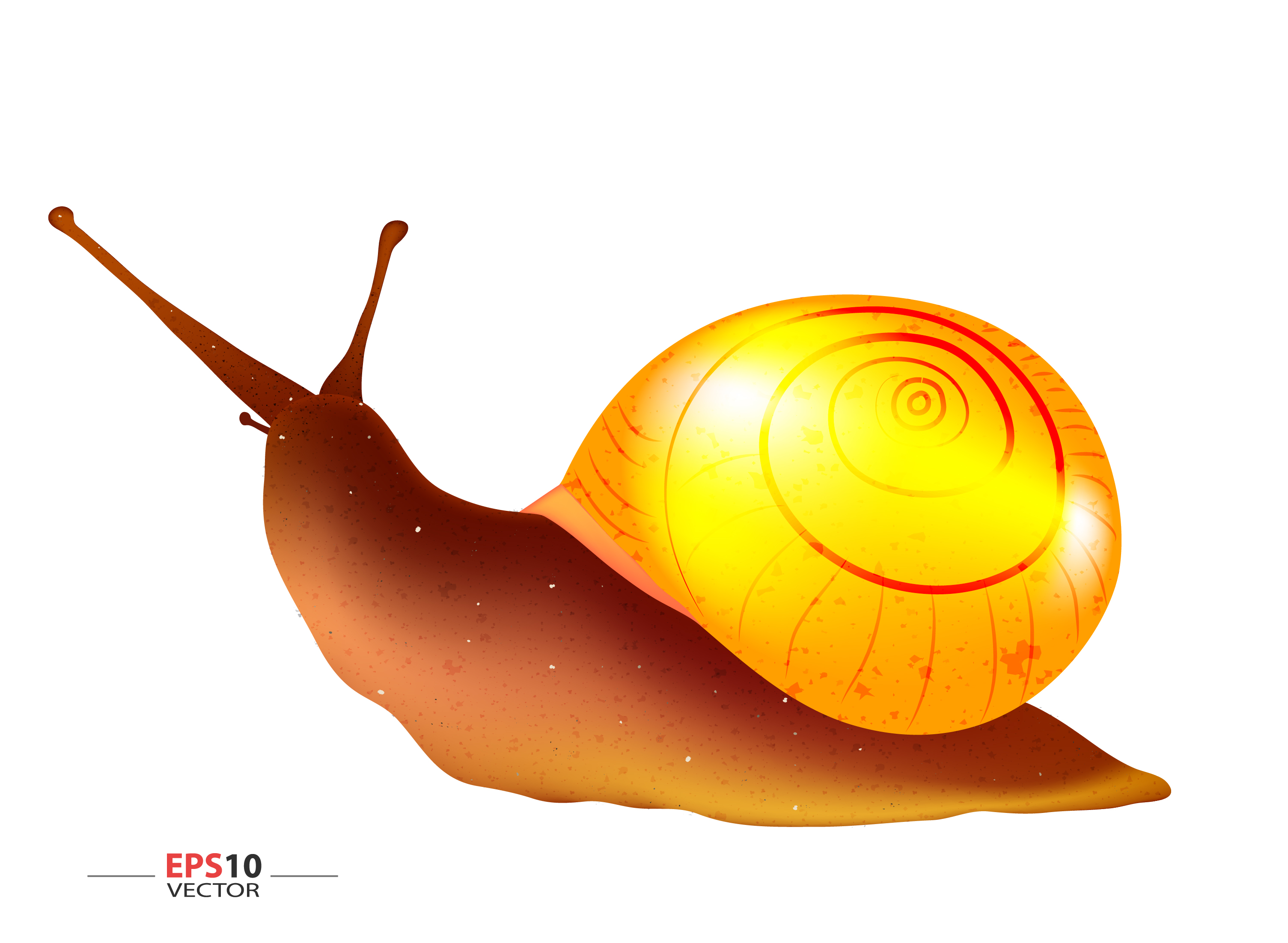 golden snail