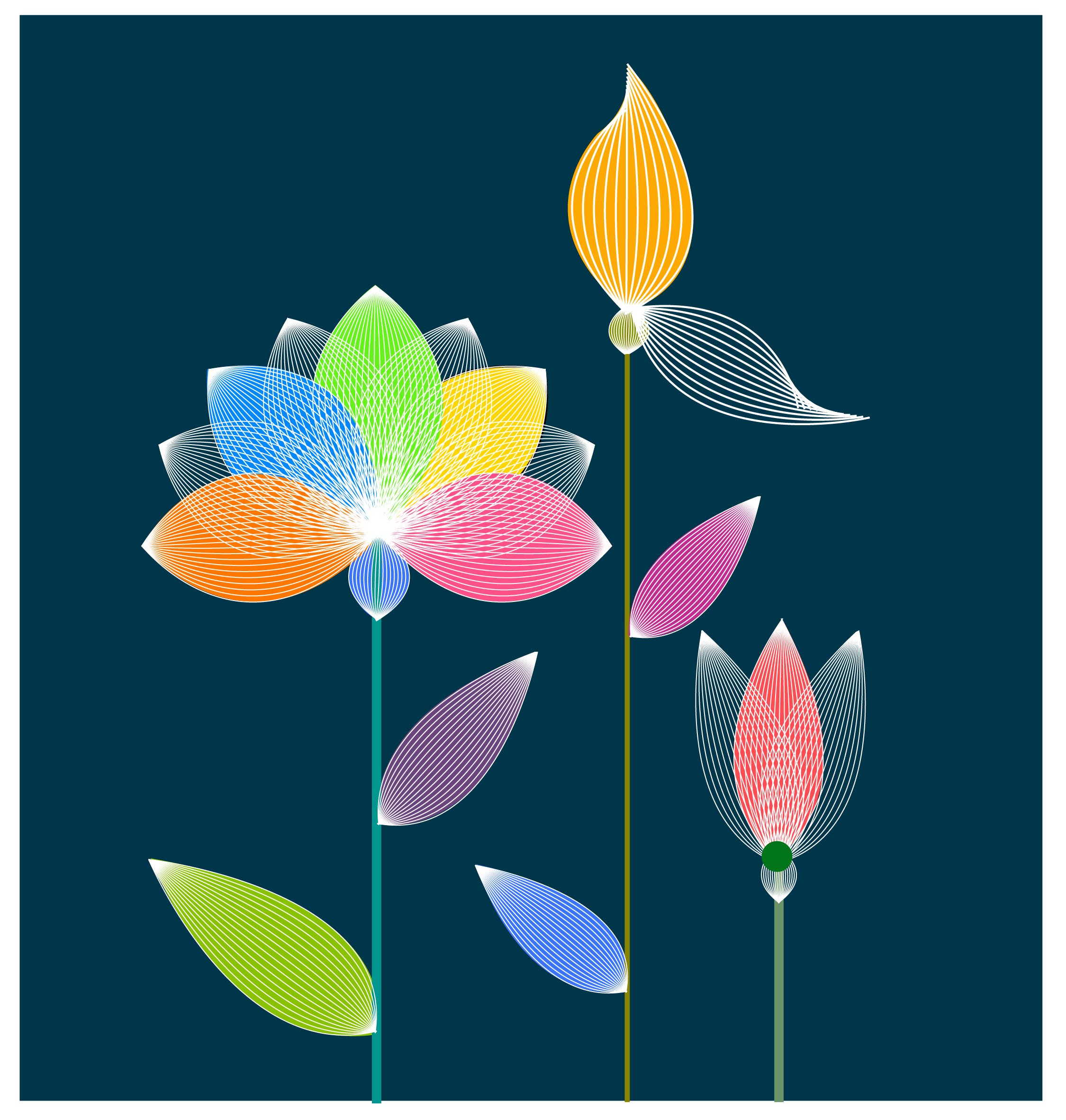 lotus flower digital concept