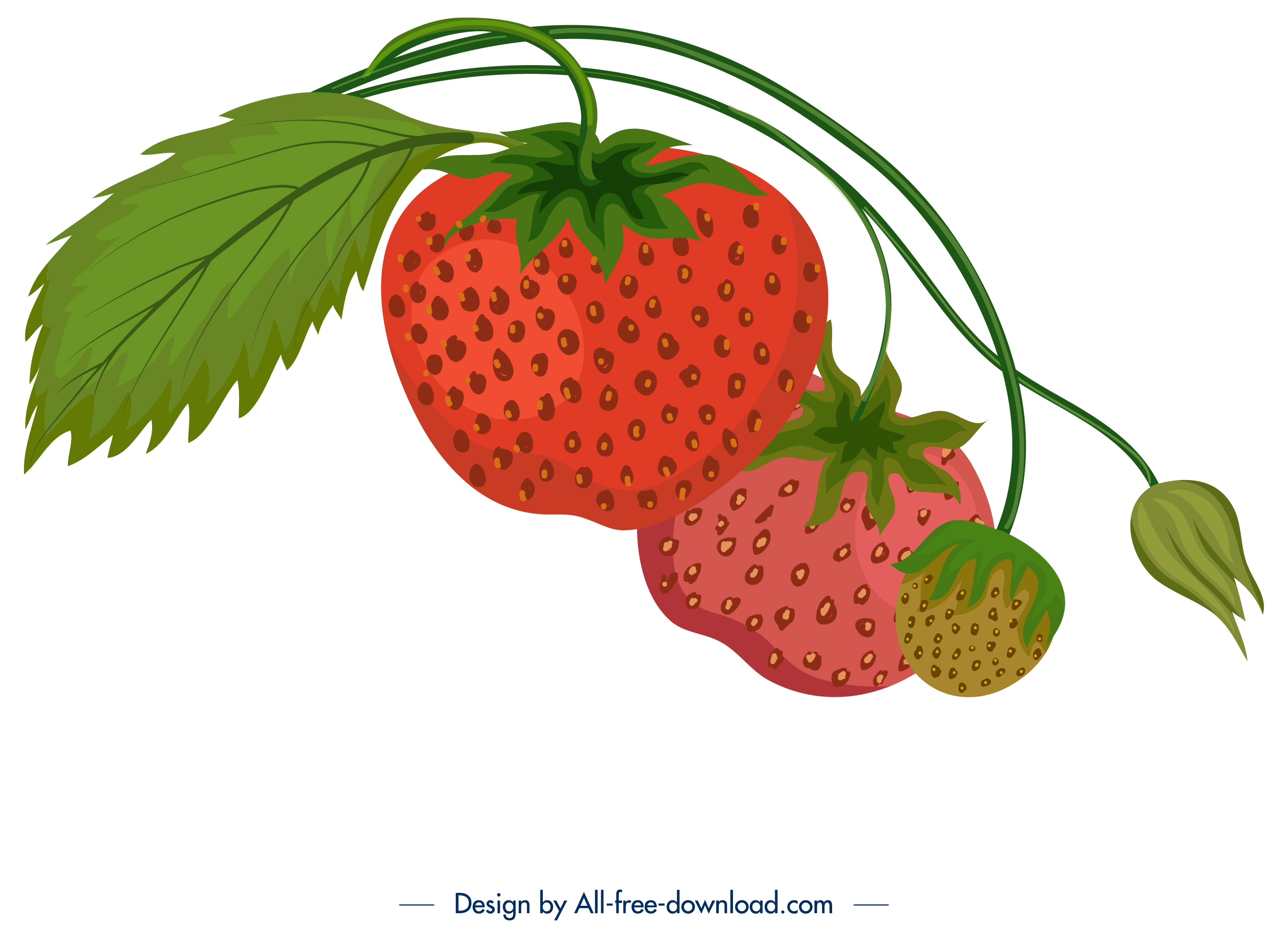 fresh ripe strawberry icon colorful classical design