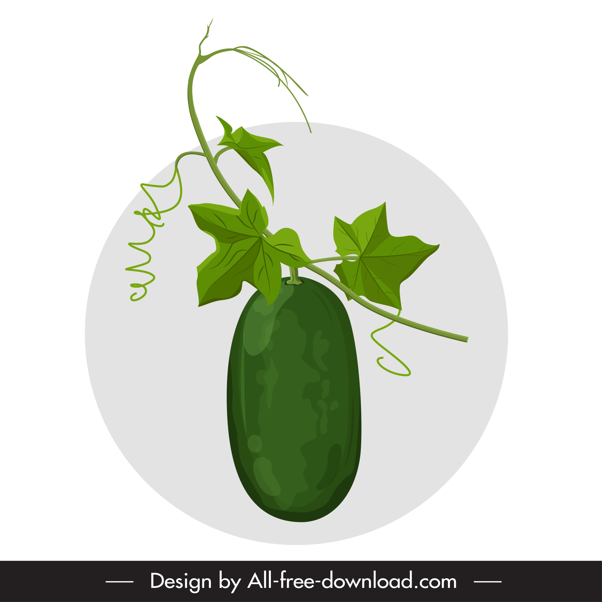 winter melon icon fruit leaves stem sketch classic handdrawn 