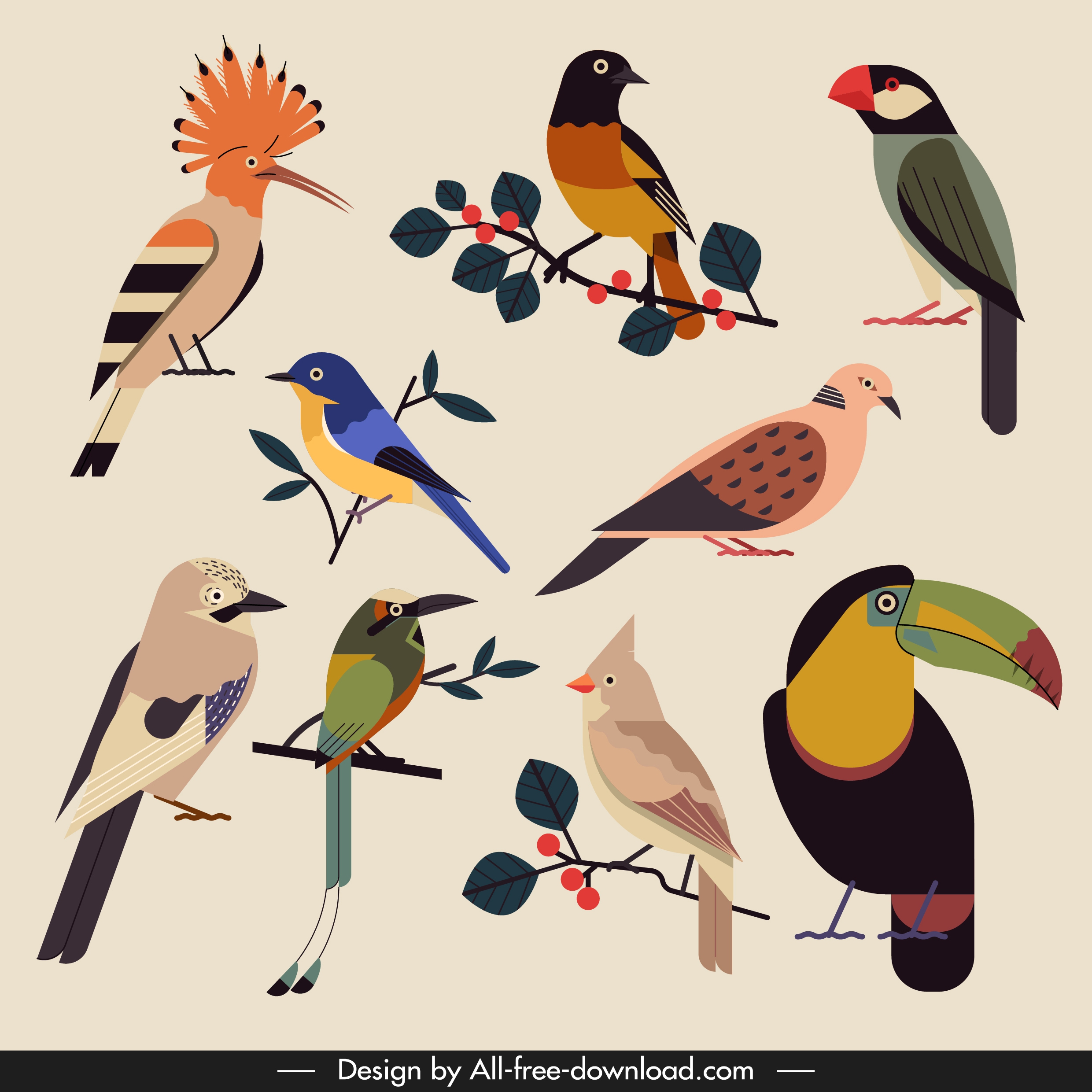 birds species icons colorful classical design