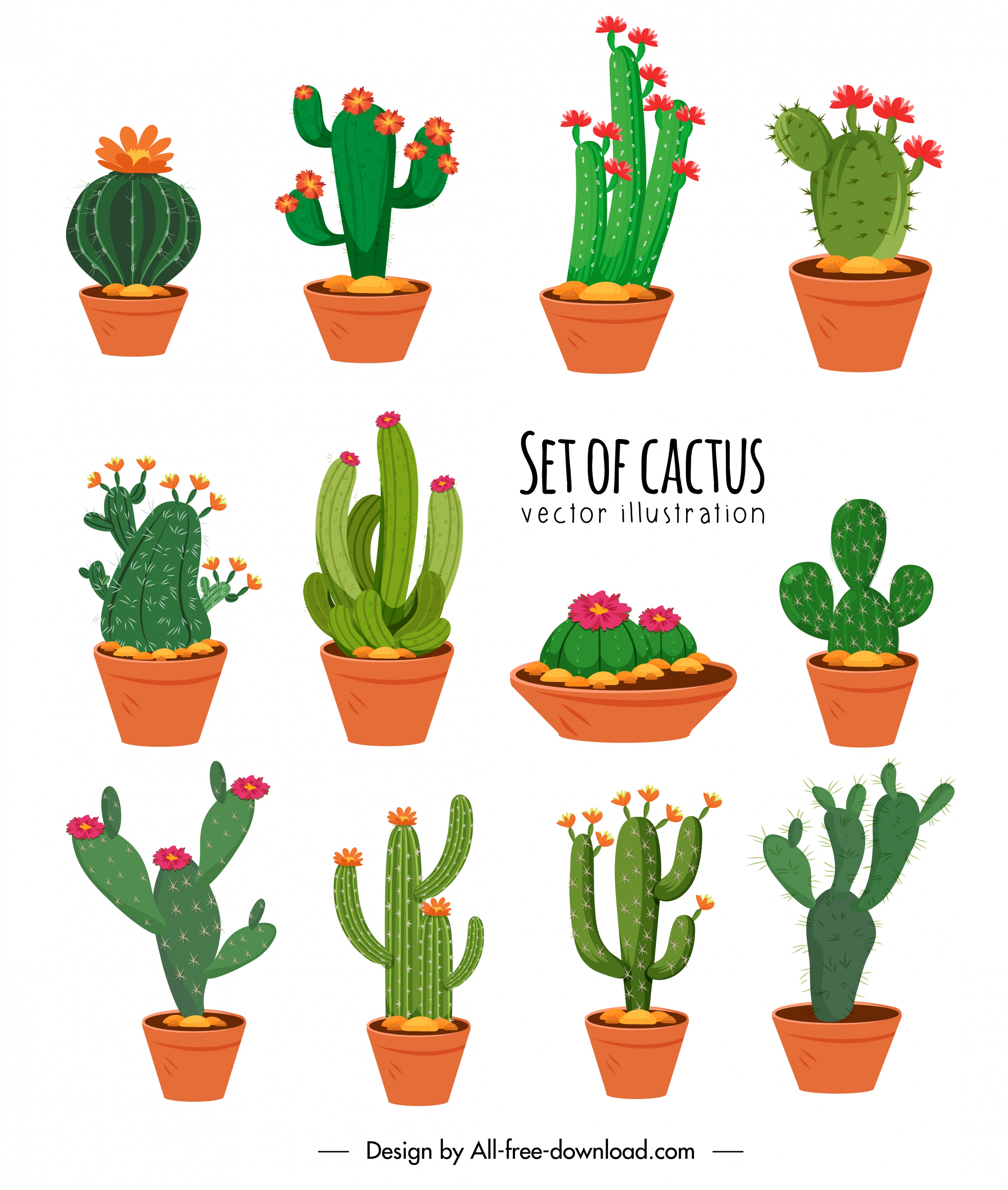 cactus icons collection colorful classical design