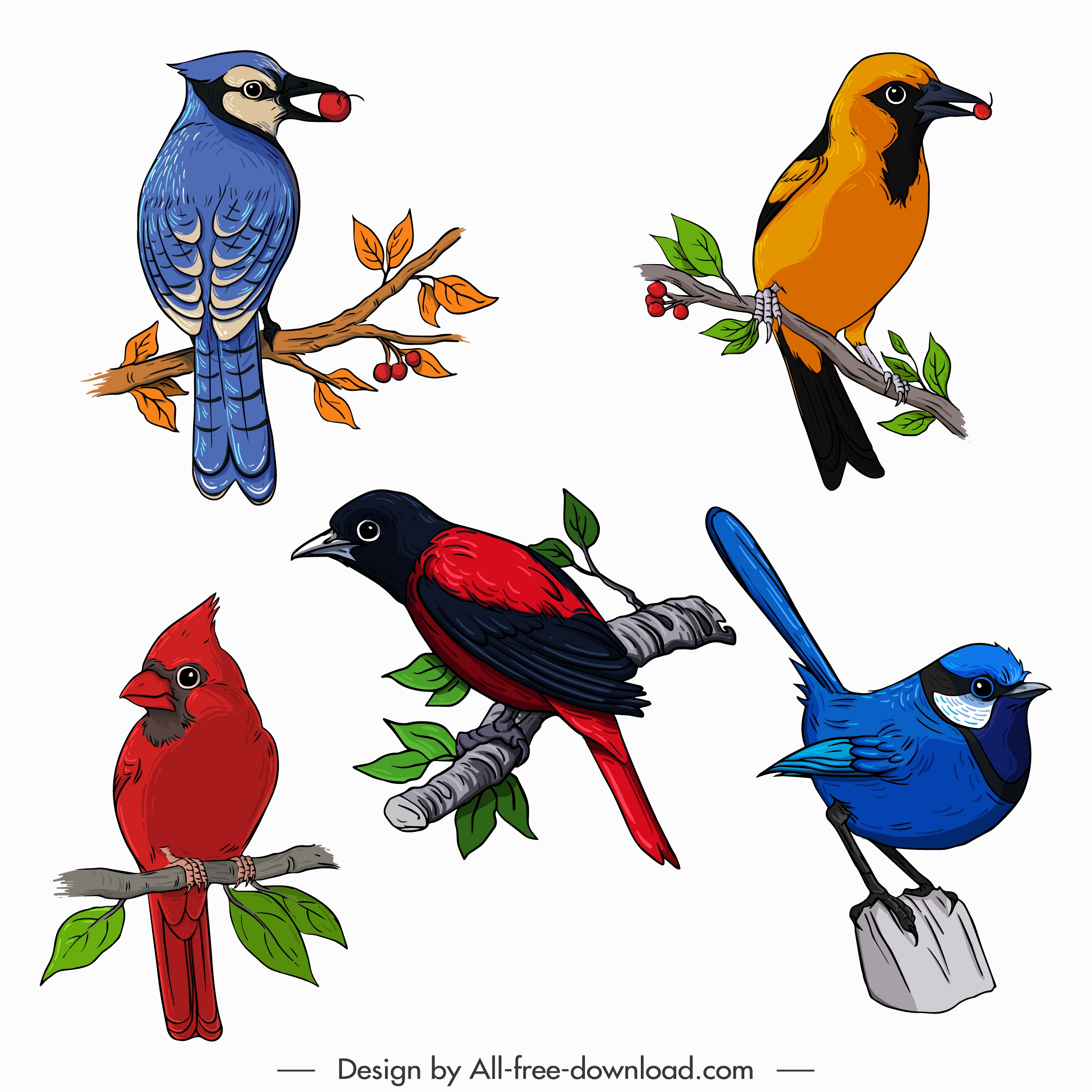 birds species icons colorful sketch perching gesture