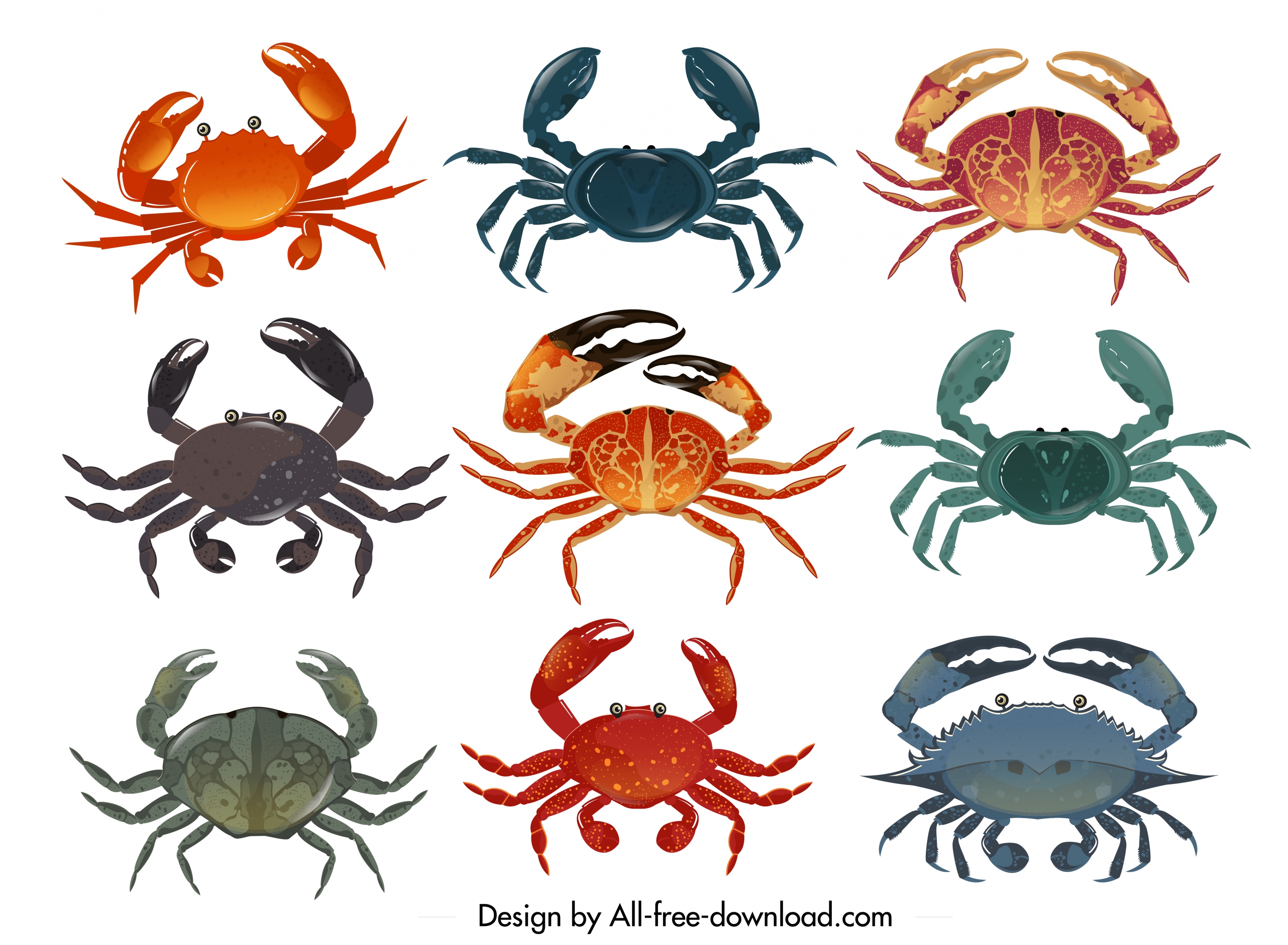 crab icons collection multicolored design