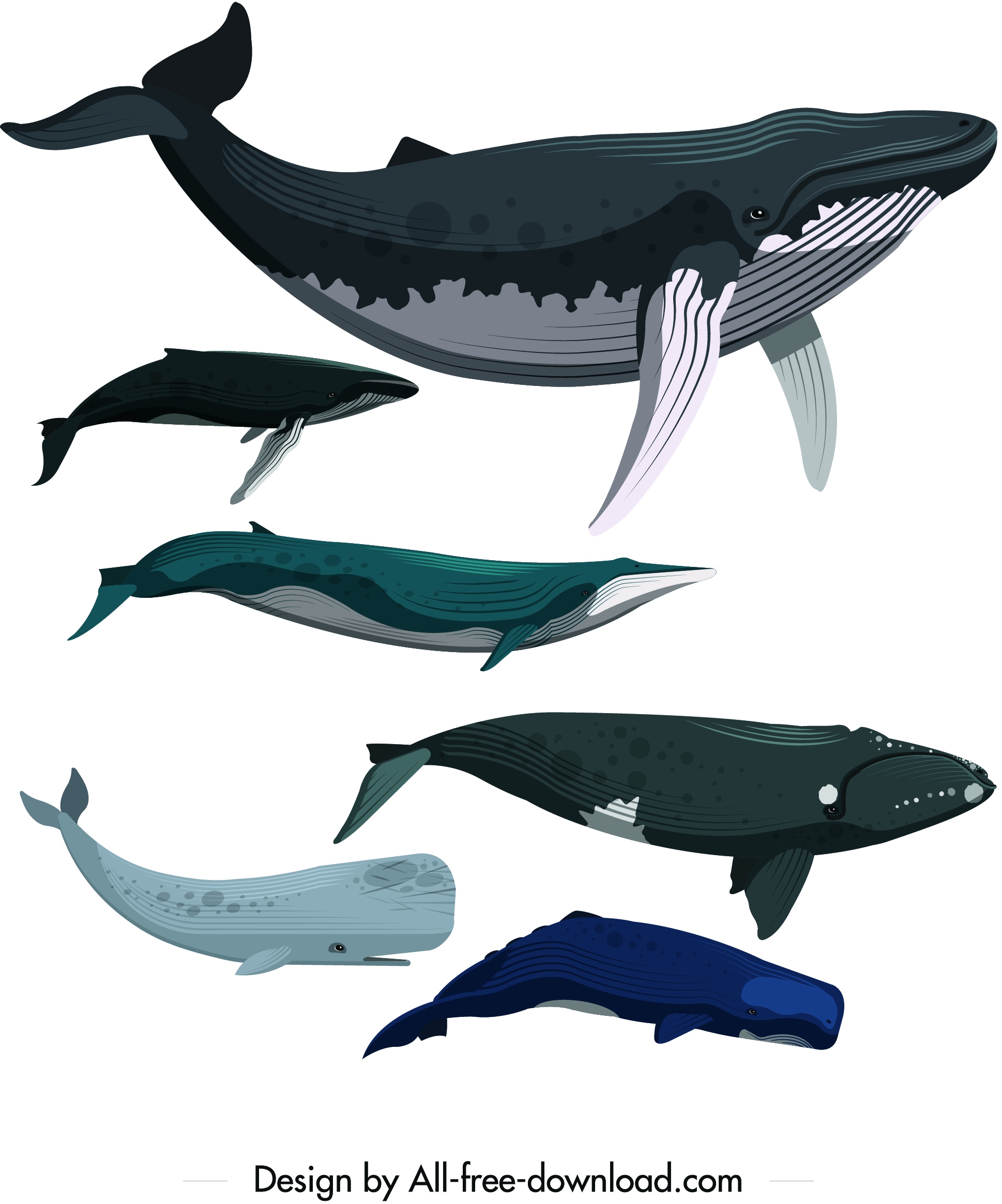 whale icons set colored cartoon sketch