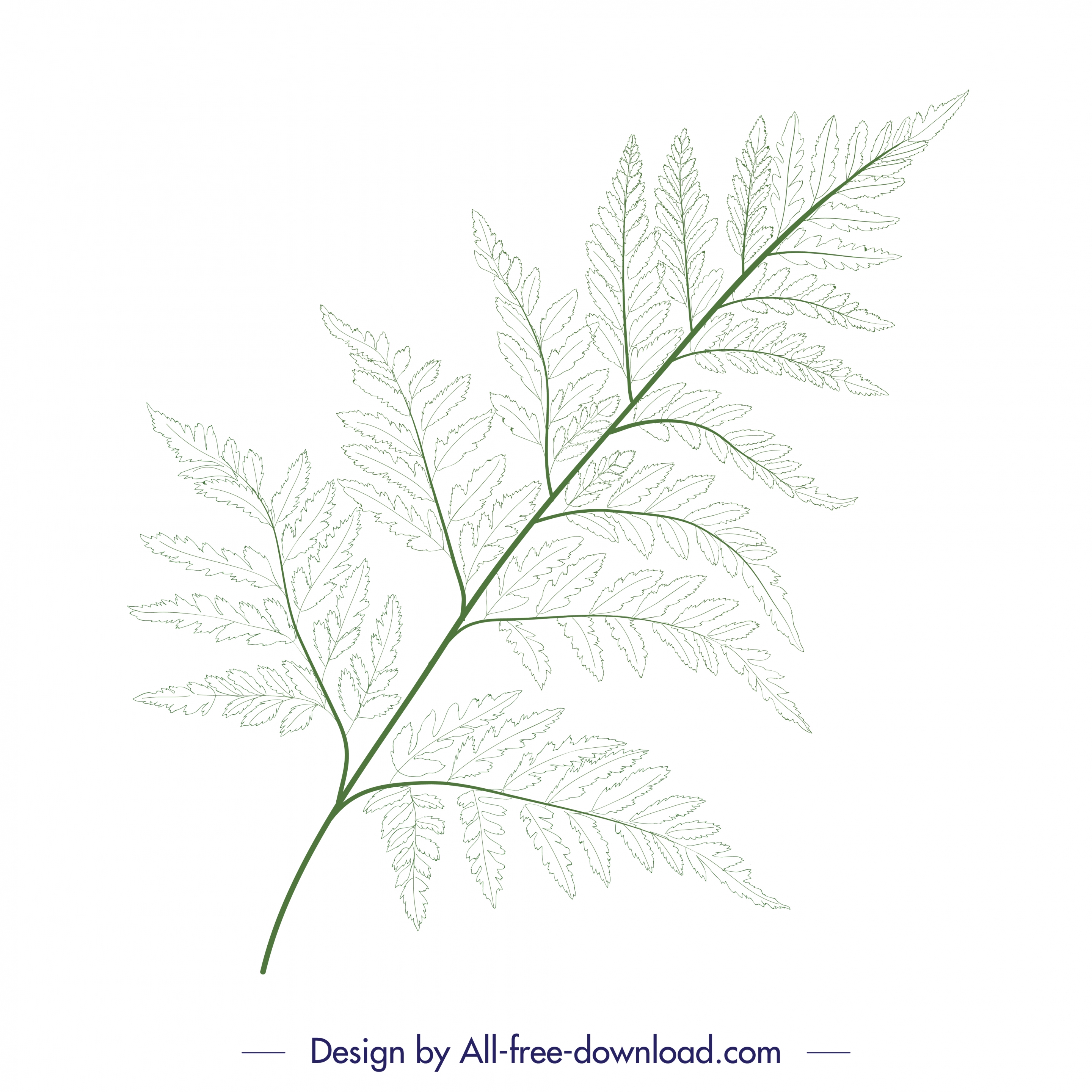 nature background green leaf branch sketch