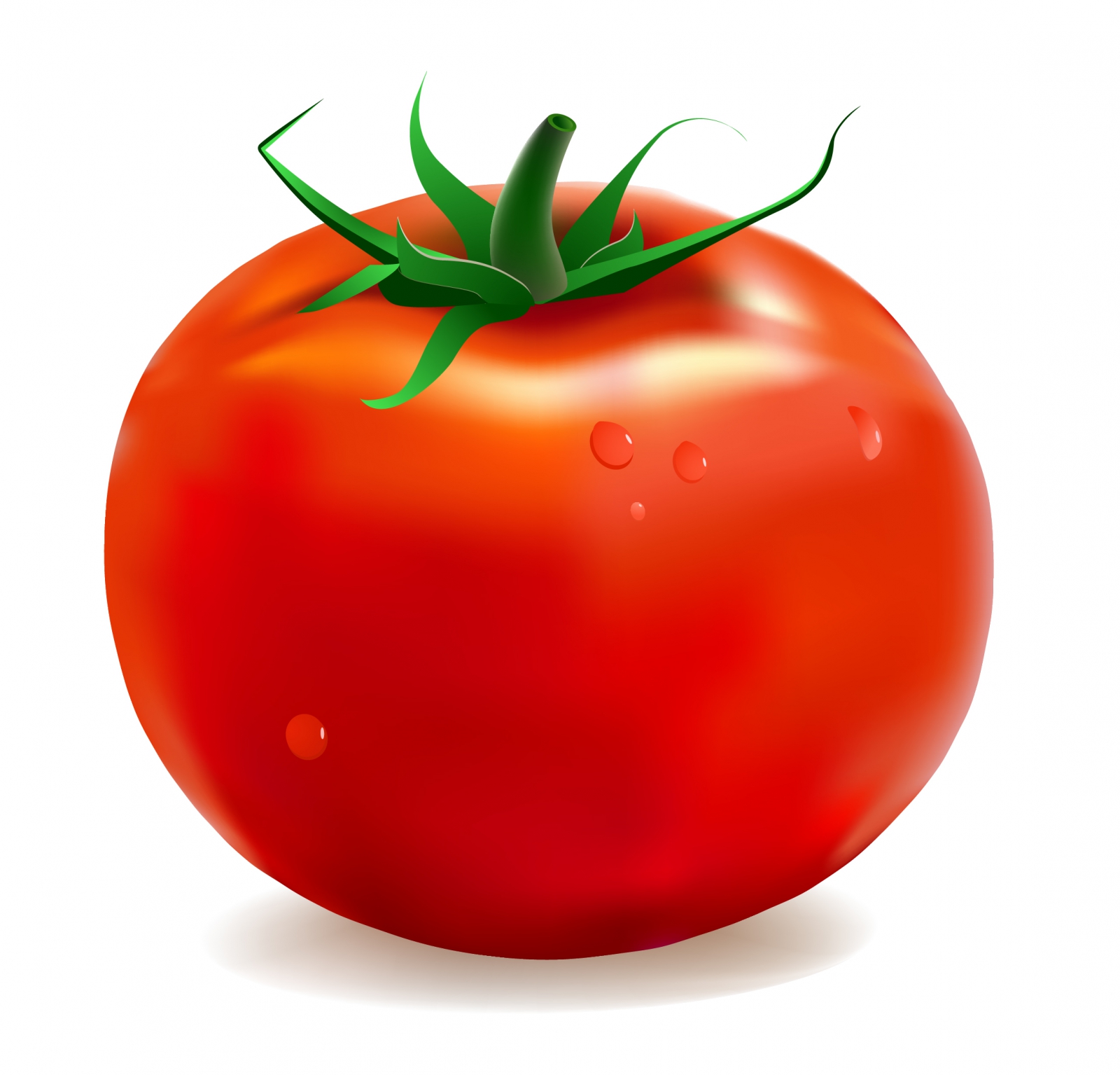 Tomato