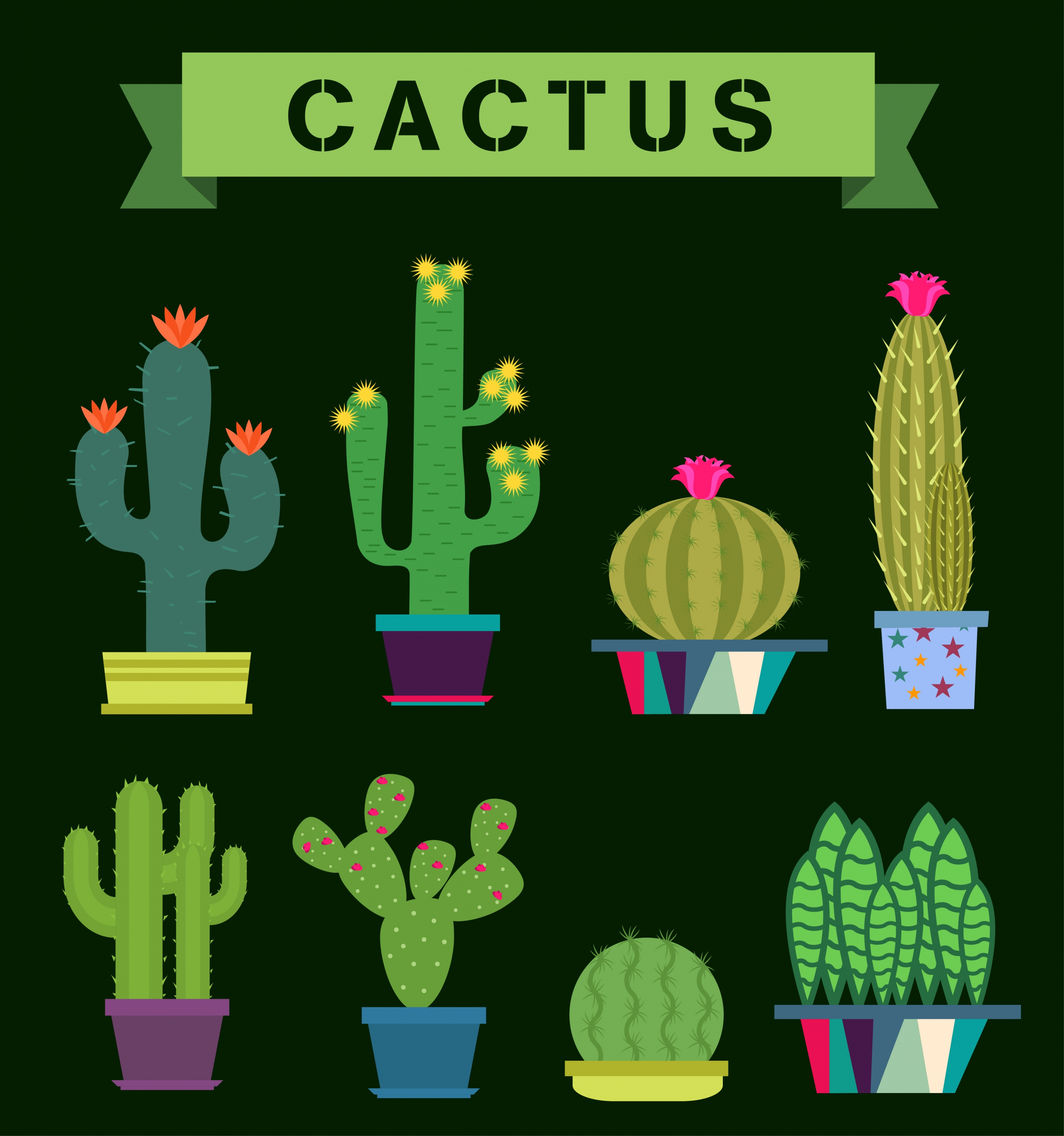 cactus icons collection various green types