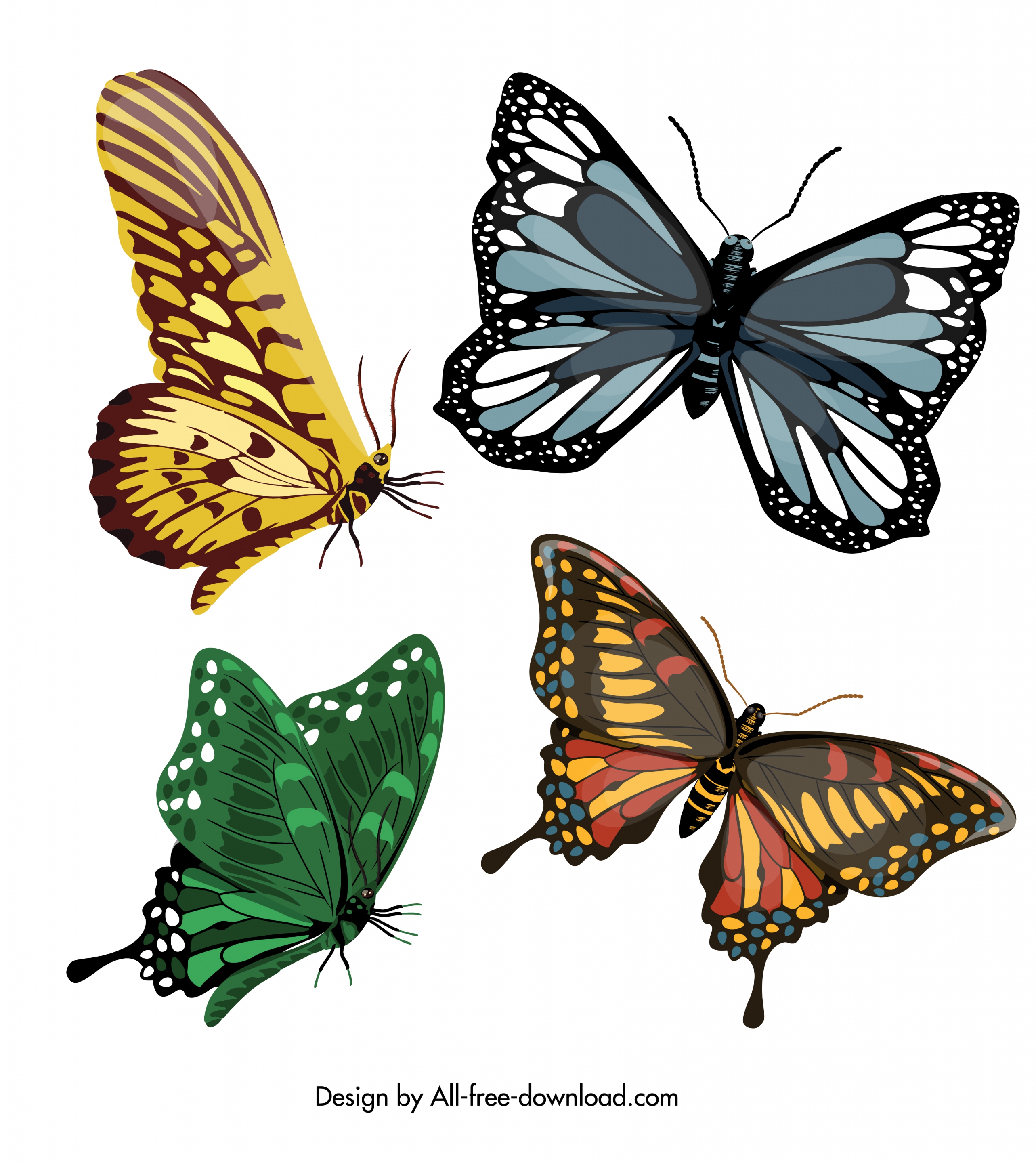 butterflies icons templates colorful modern shapes sketch