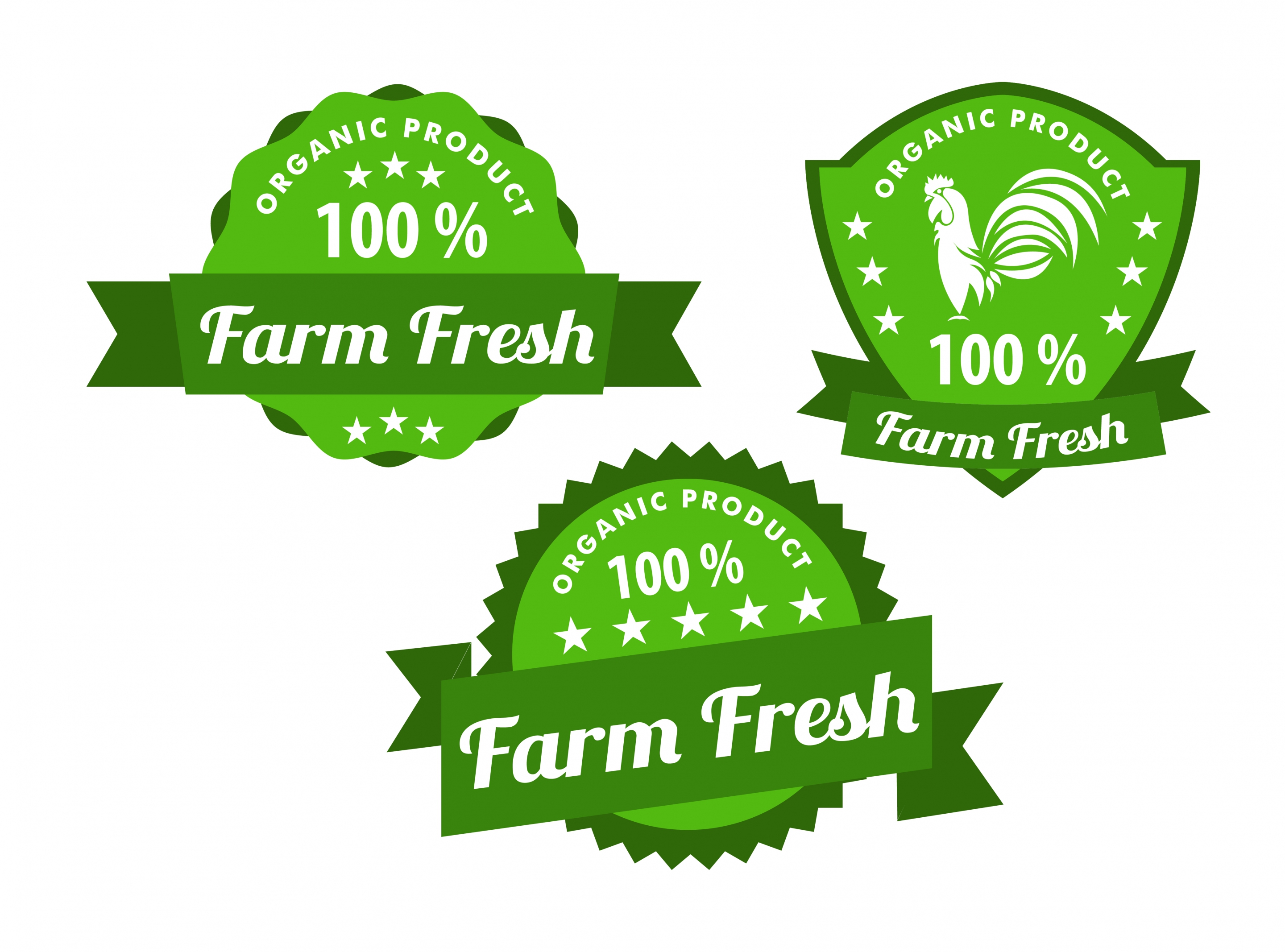 organic products labels collection various green shaped design