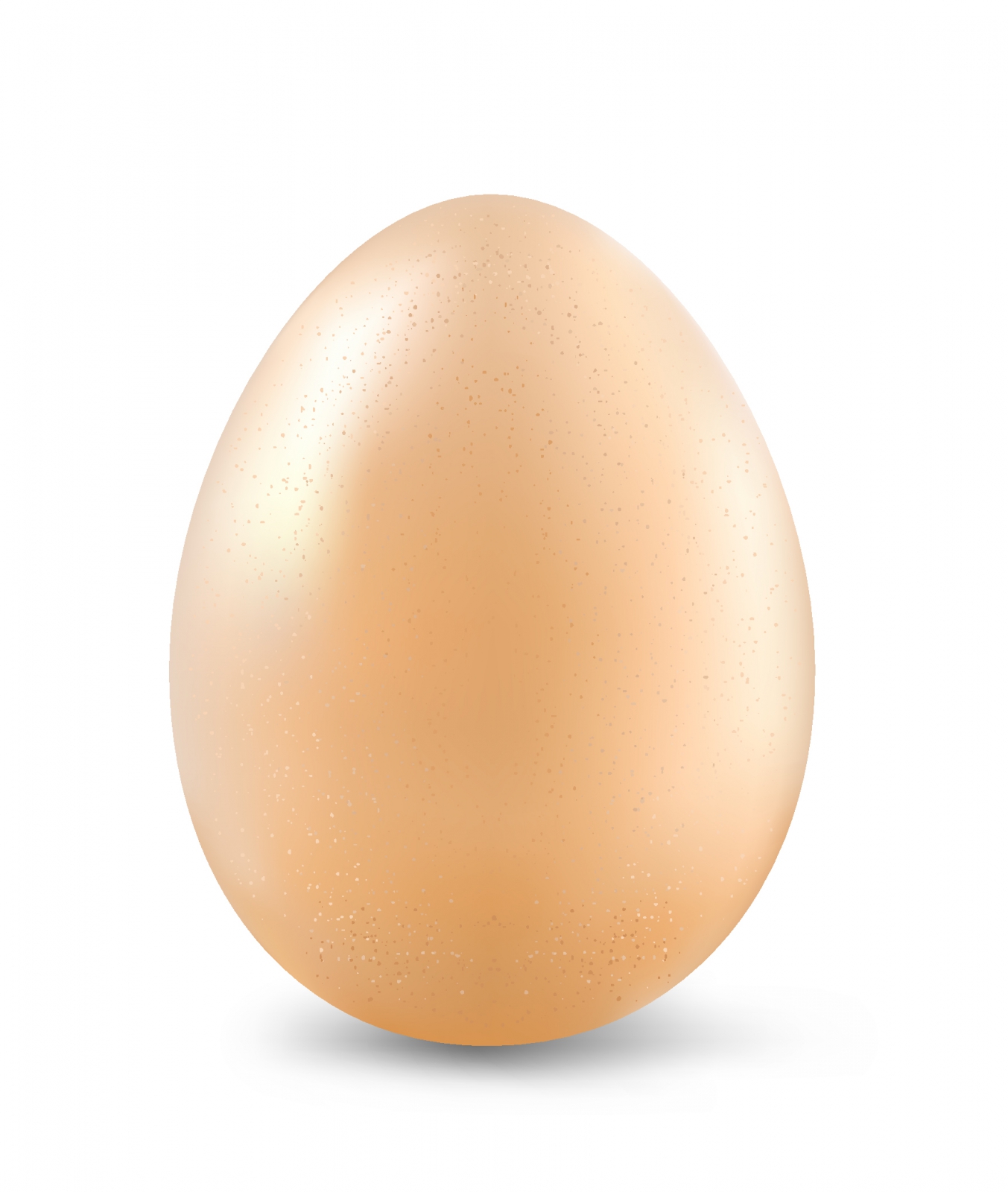 egg