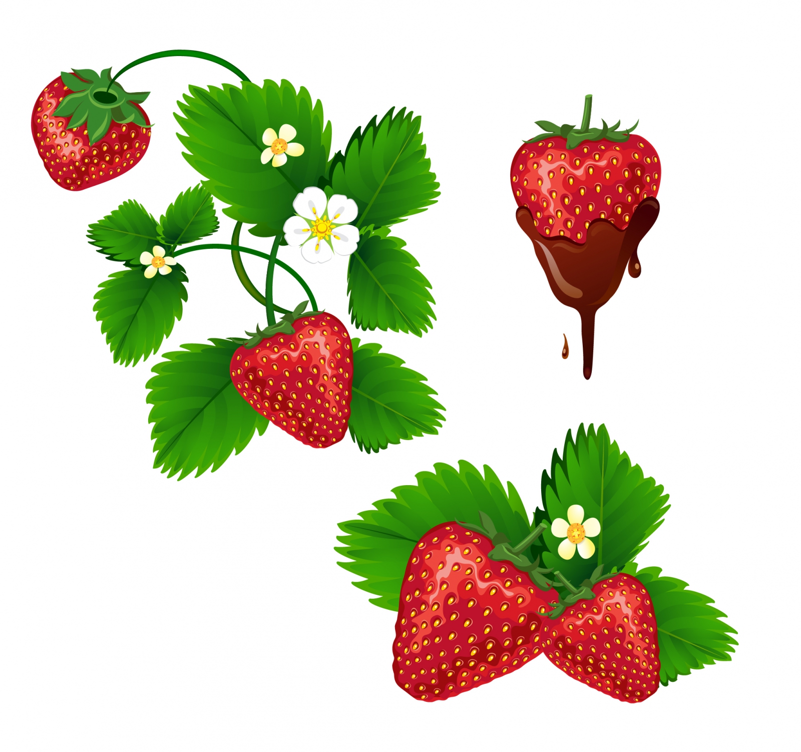 strawberries