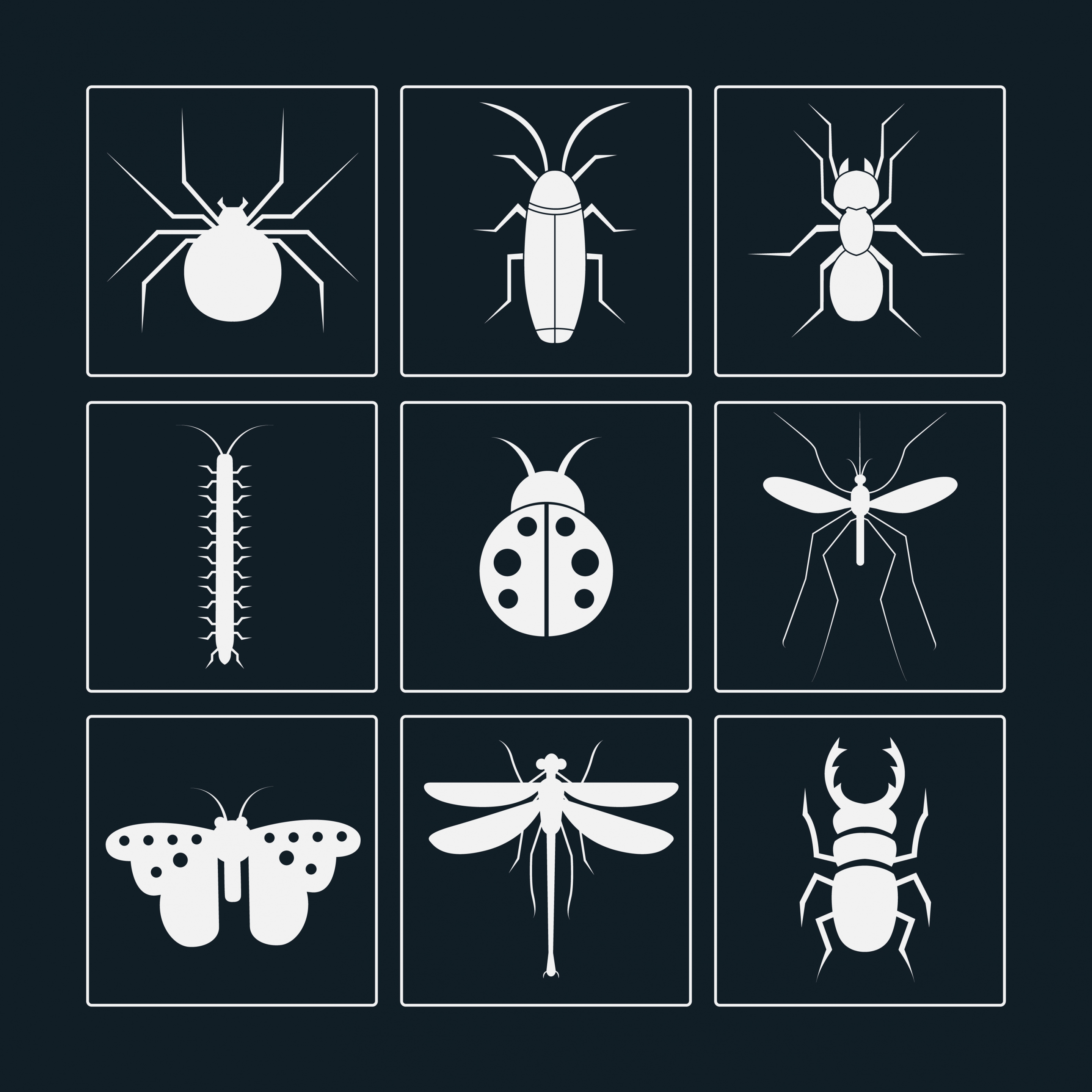 insect icons sets white silhouettes design various types