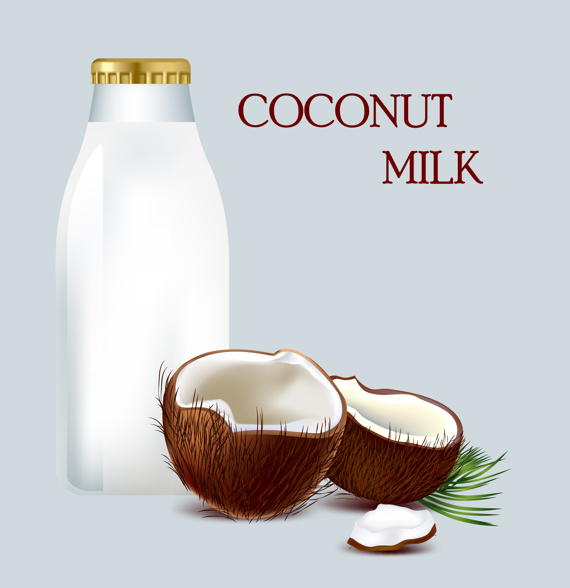 coconut milk promotion banner bright colored ornament