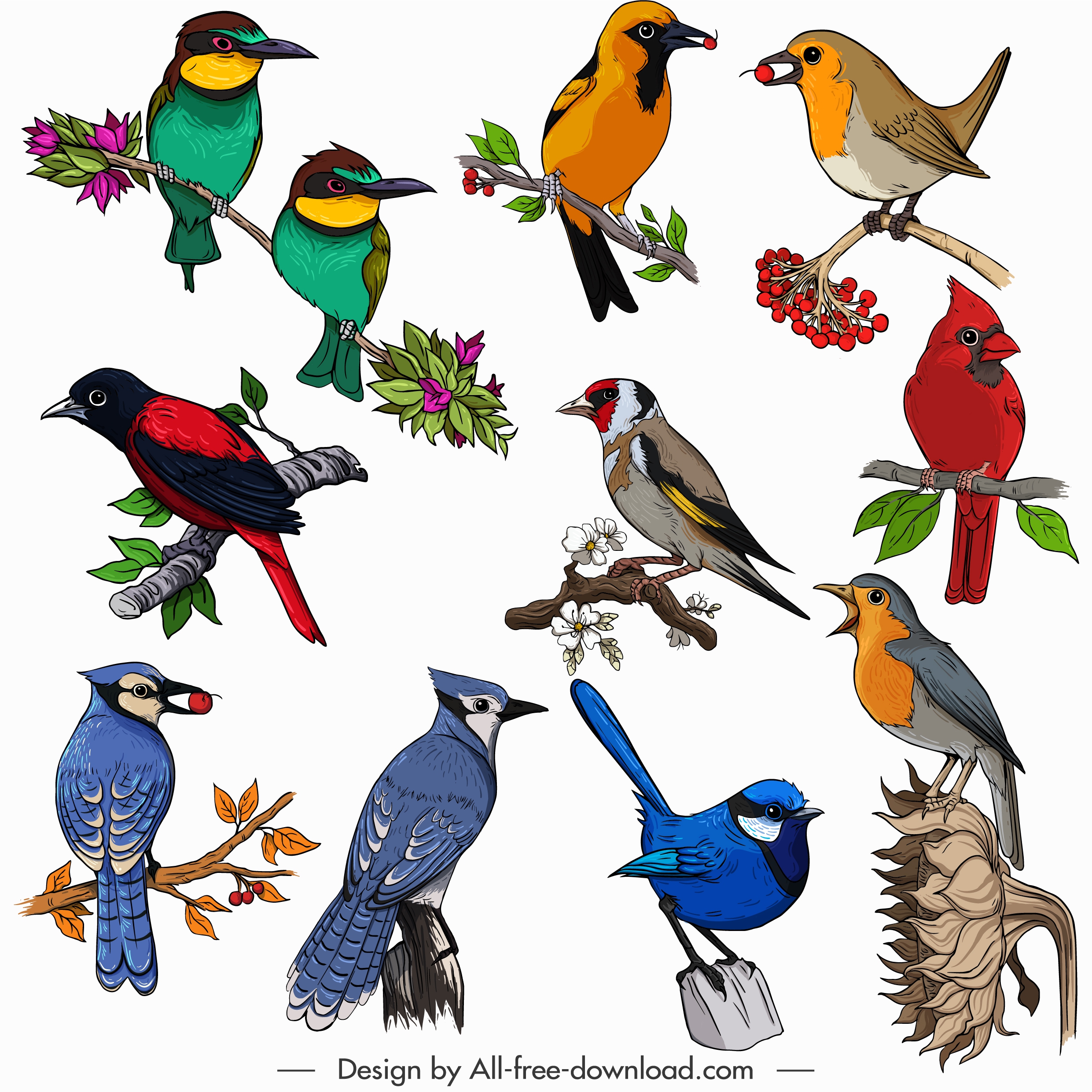 birds species icons collection classical multicolored perching sketch