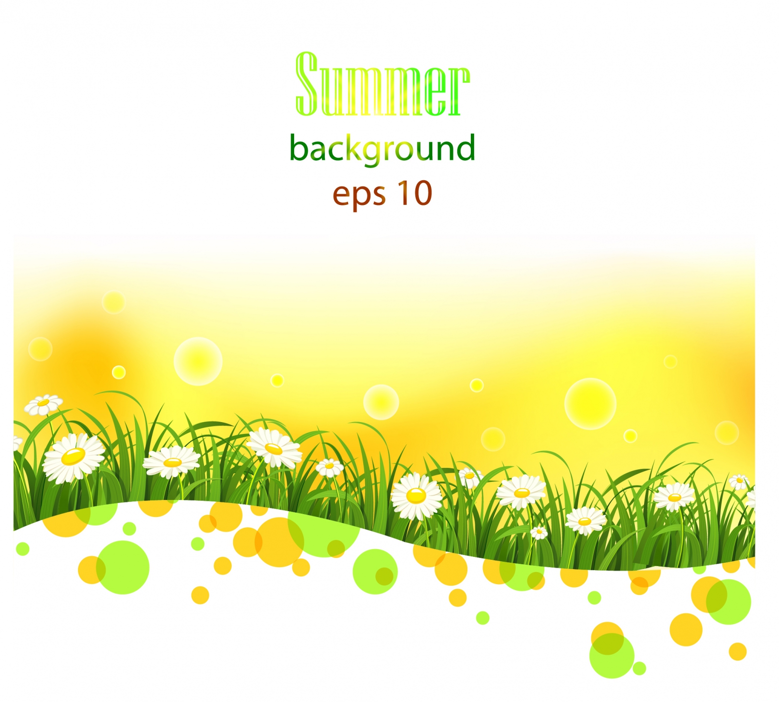 Bright summer flowers  background