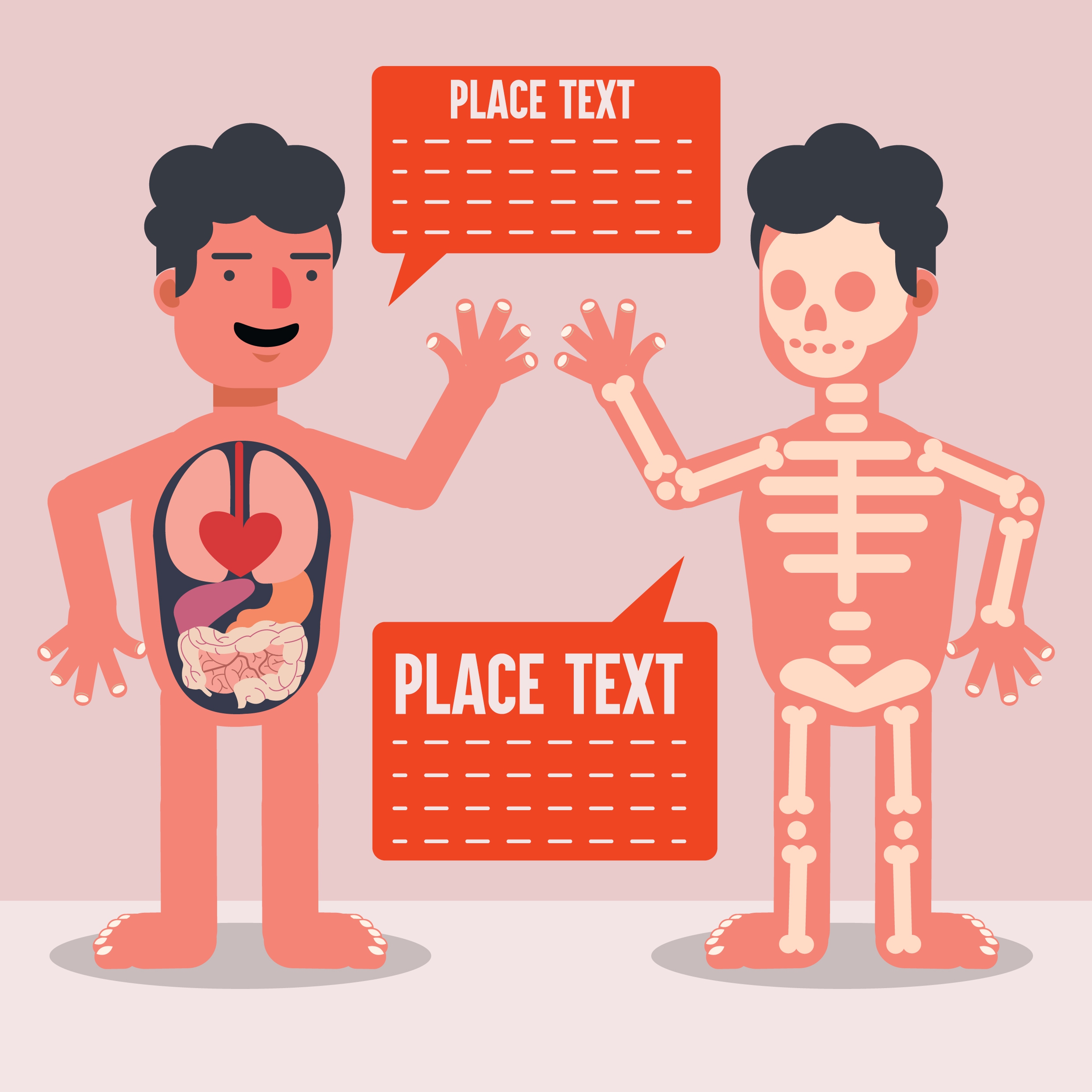 biological education background men skeleton organs icons