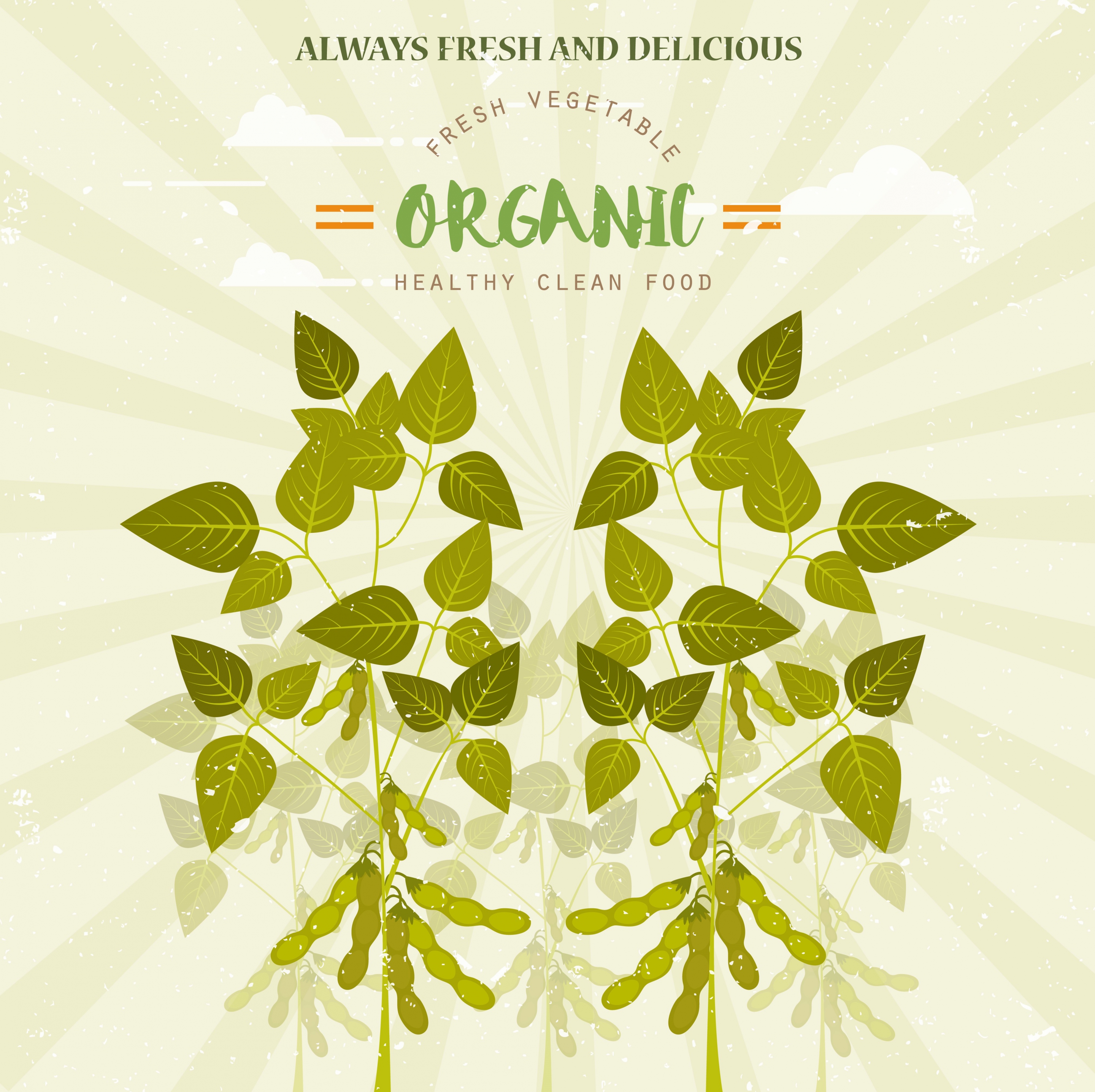 organic food advertisement green soybean icon