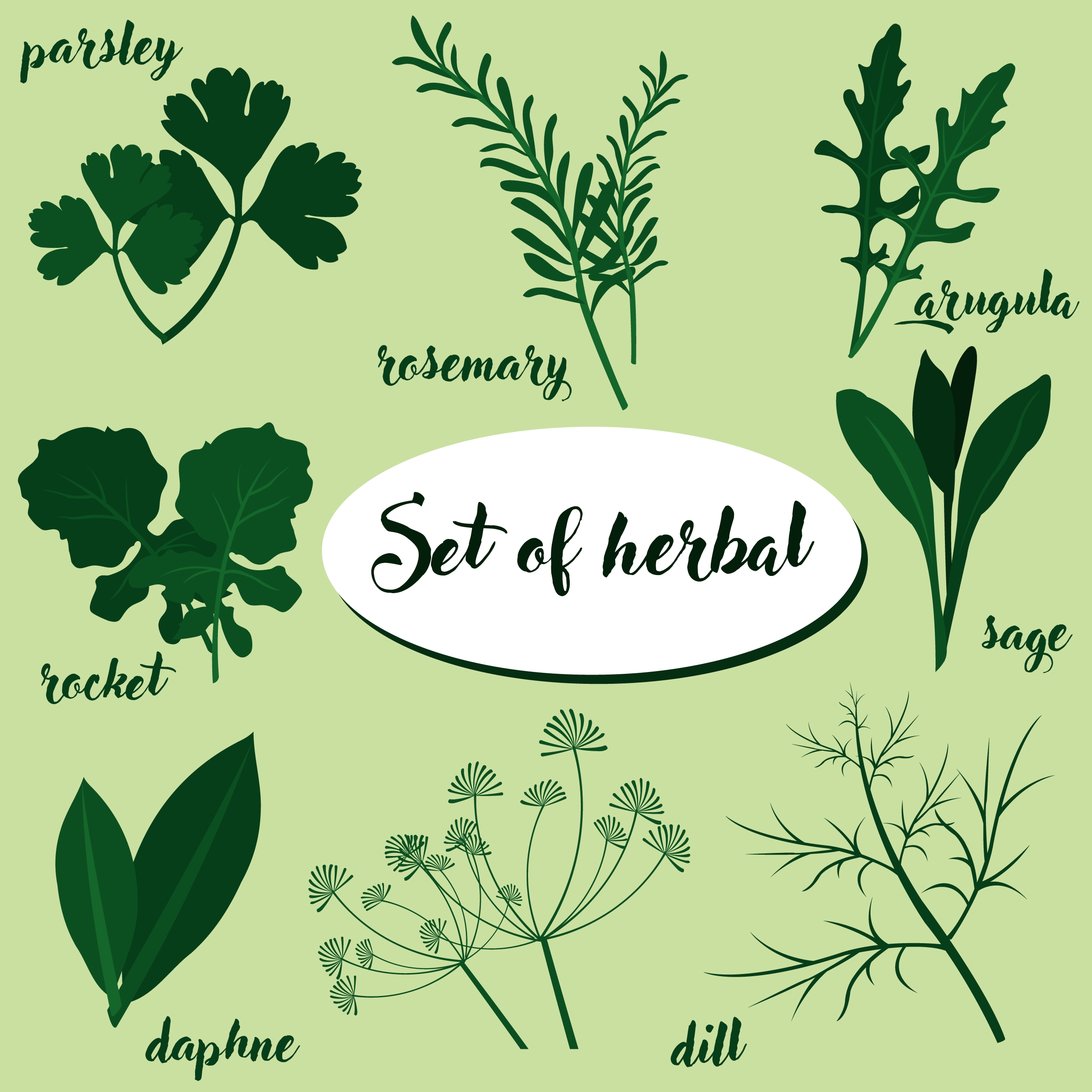 herbal icons sets various green types