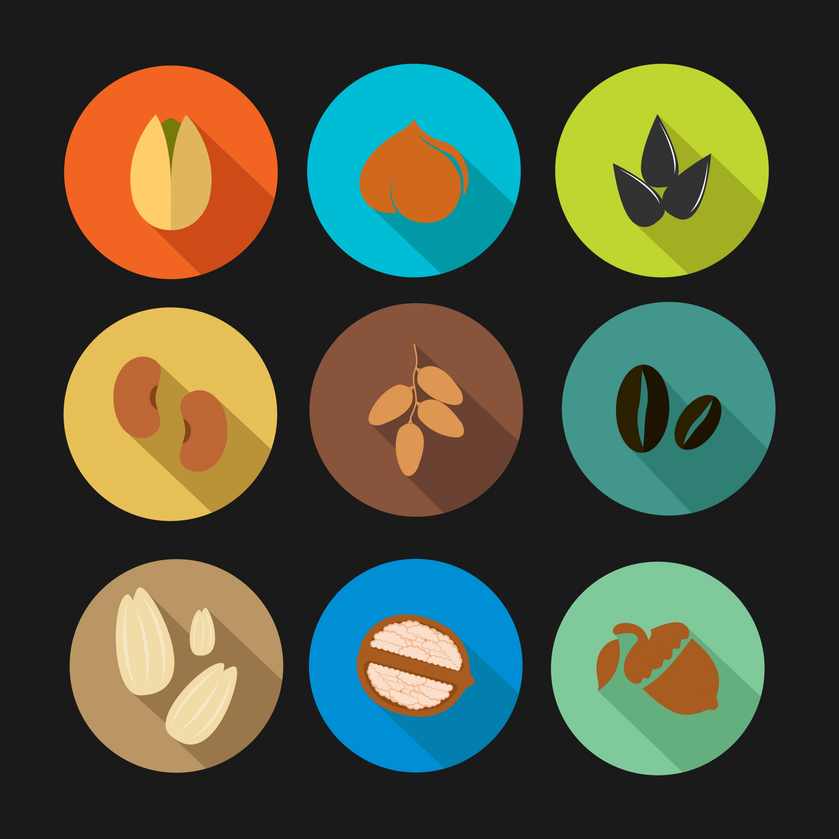 nut bean icons collection various colored types isolation