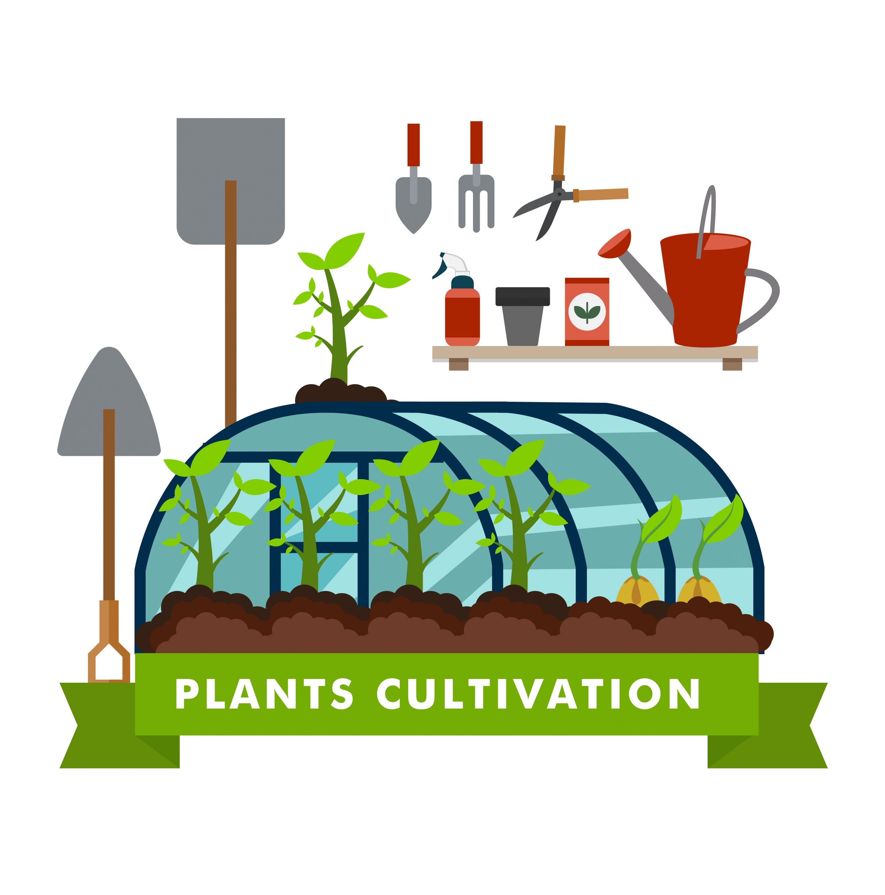 plants cultivation concept illustration with tools and glasshouse