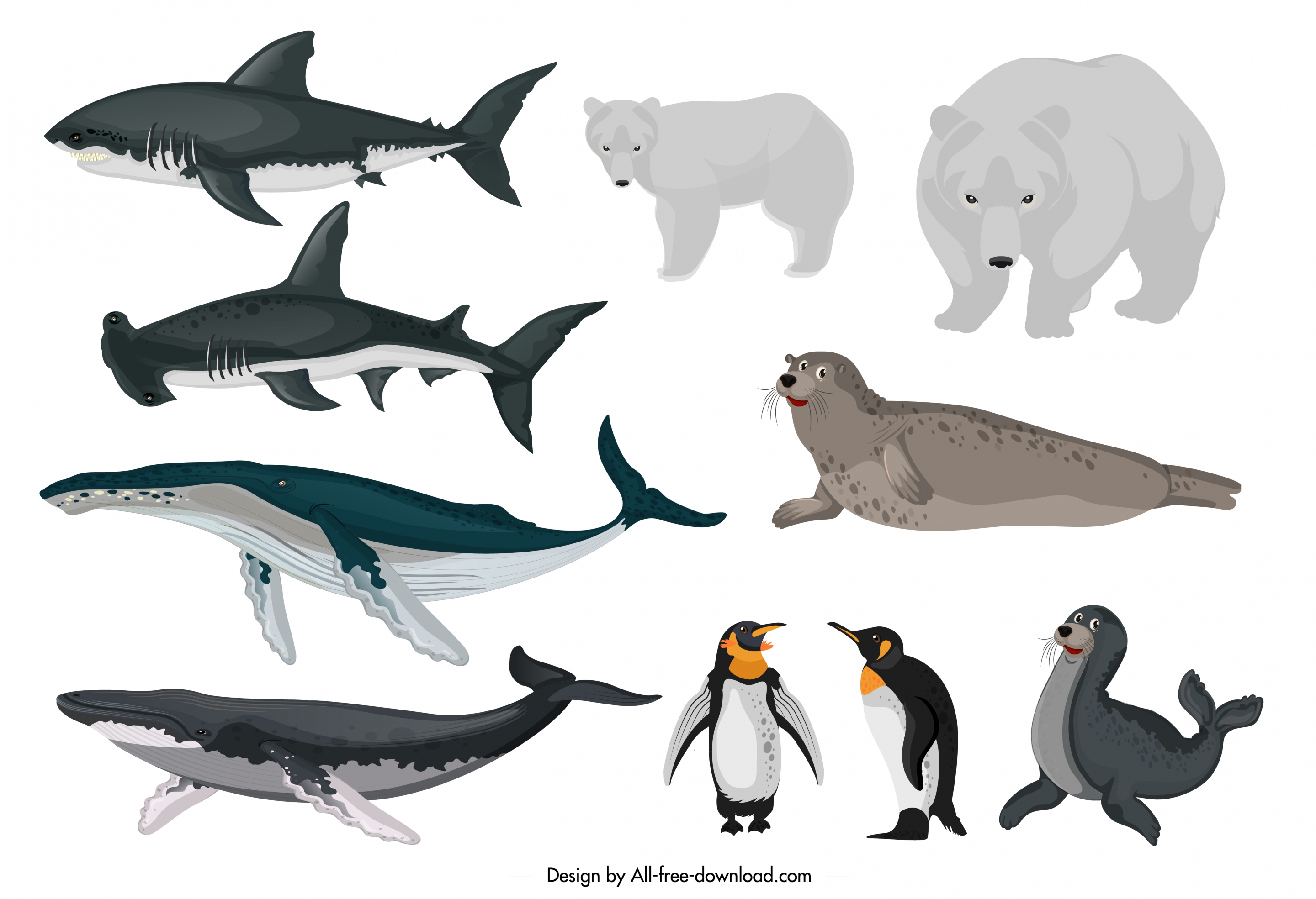 arctical animals icons fishes bears penguin seal sketch