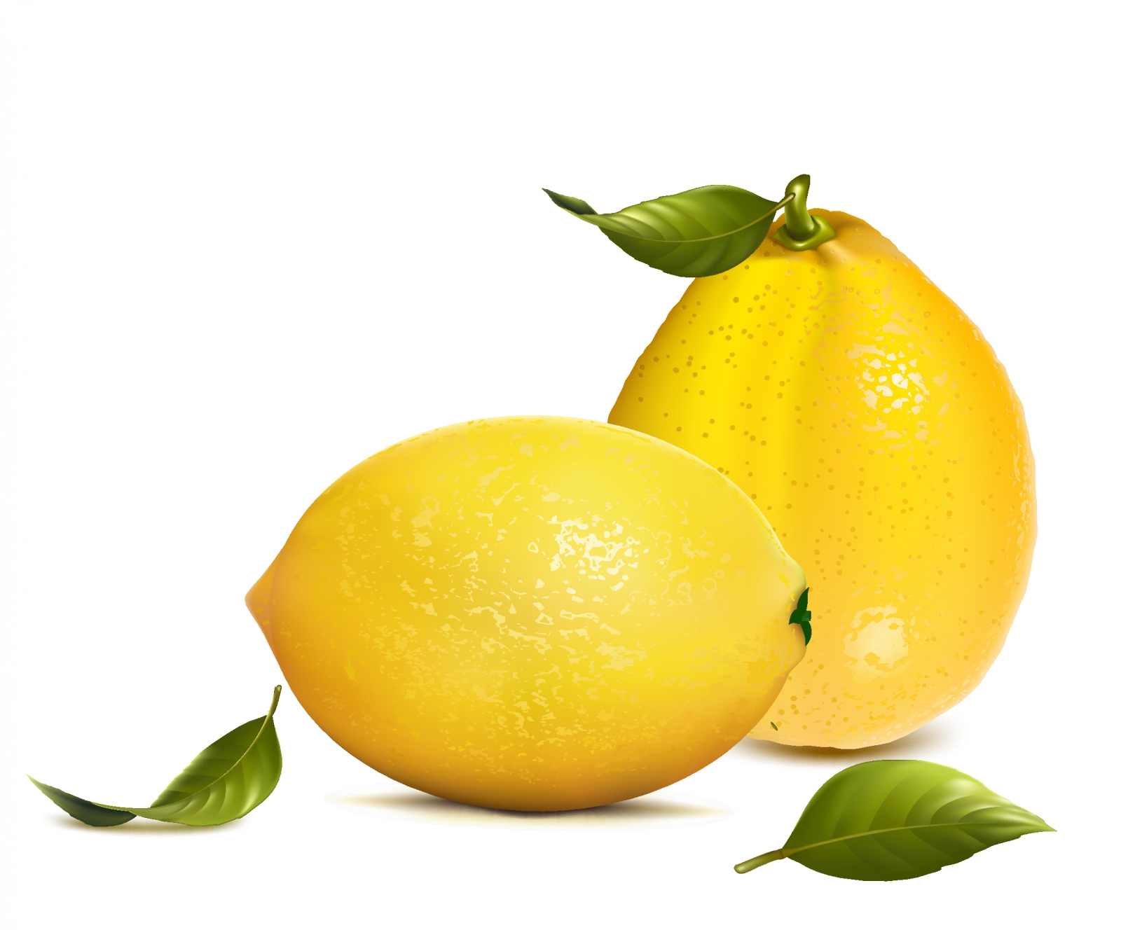 Fresh lemons with leaves