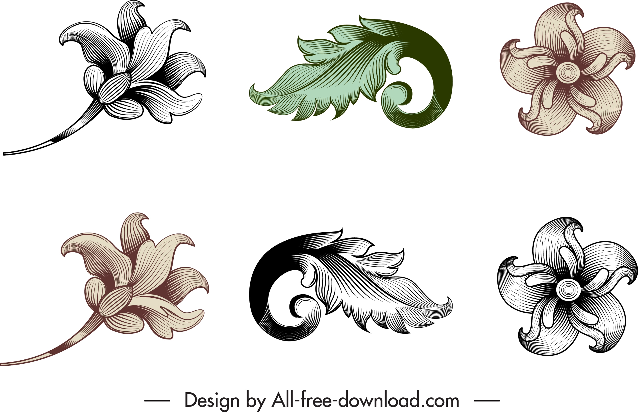 vintage baroque templates flora leaf sketch elegant design