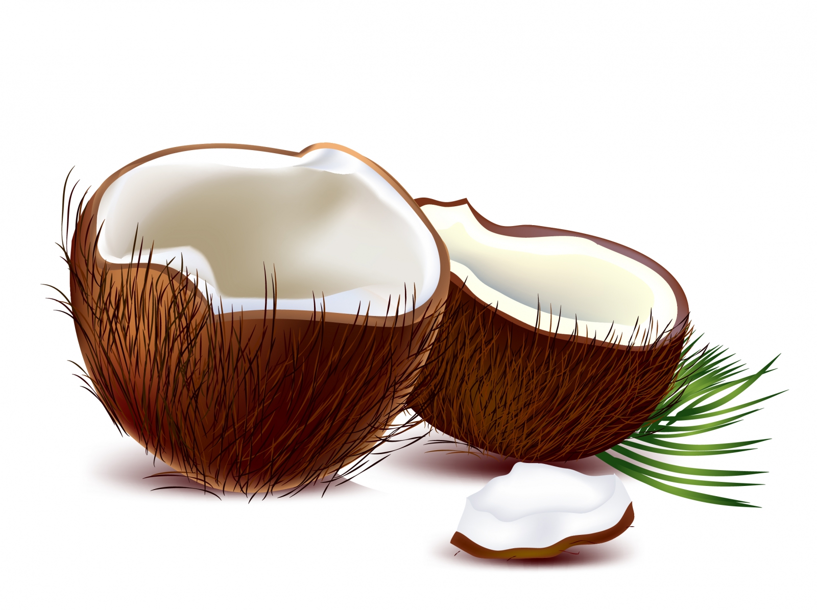 Coconuts