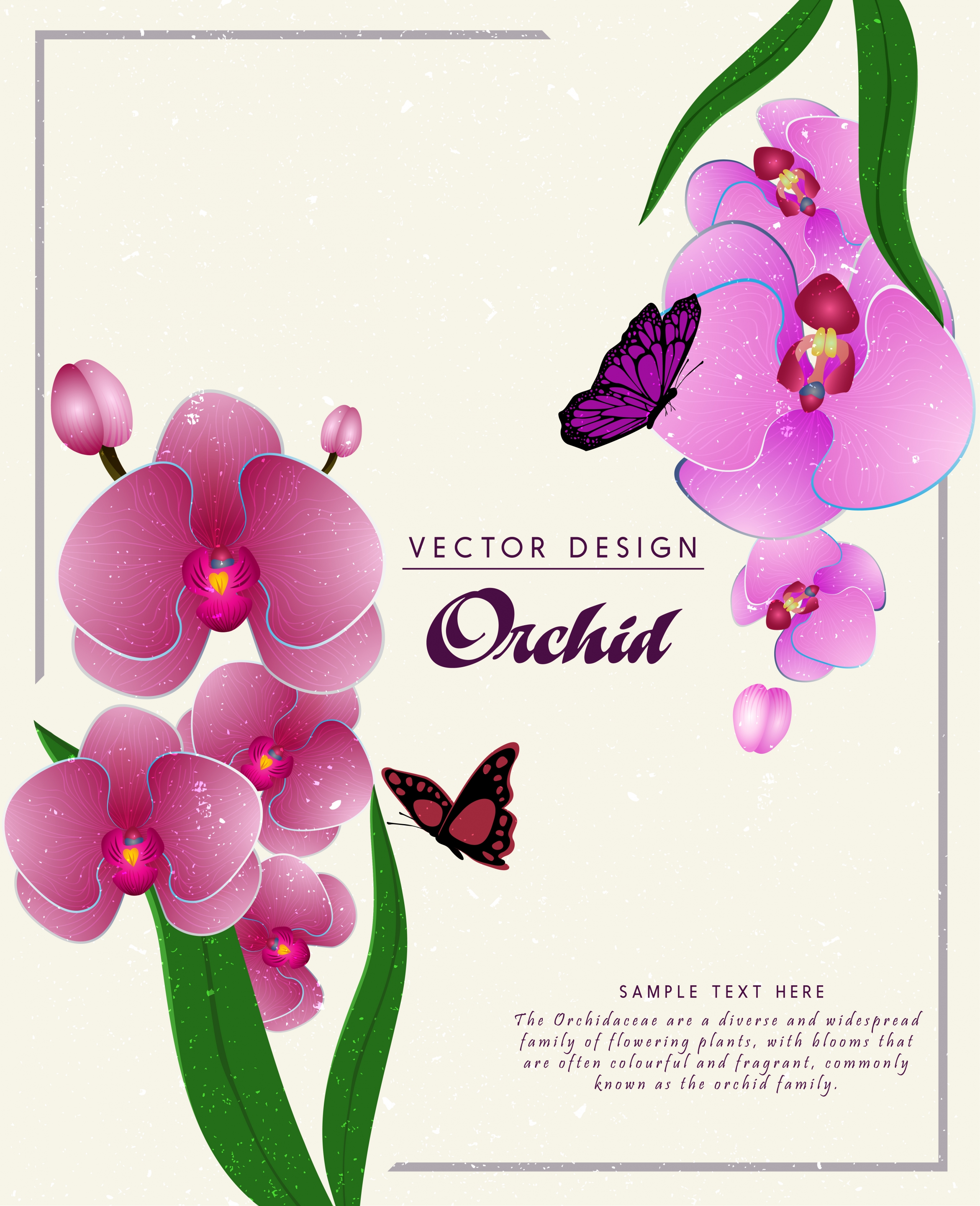 nature background purple orchids flowers ornament