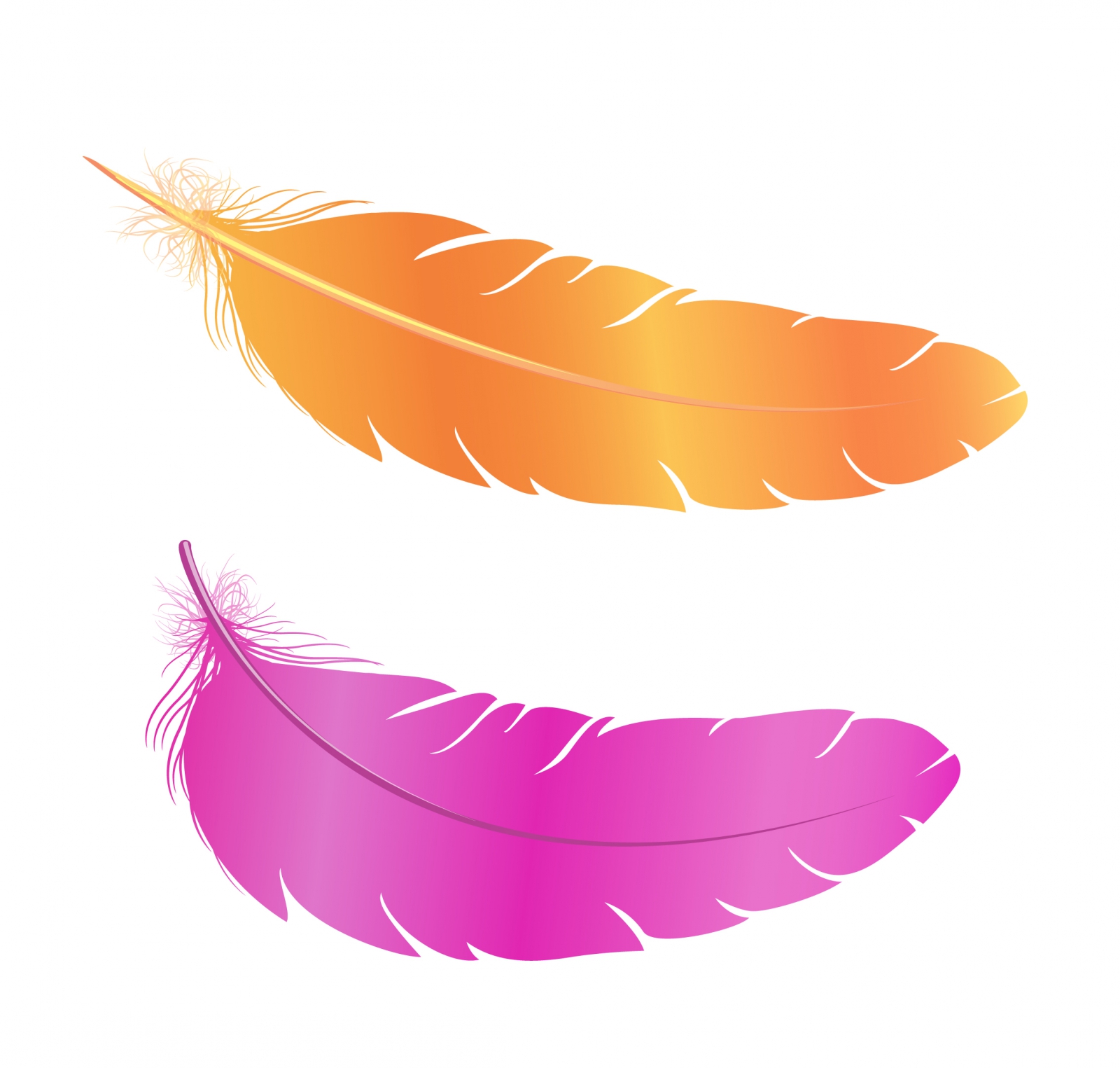 feather