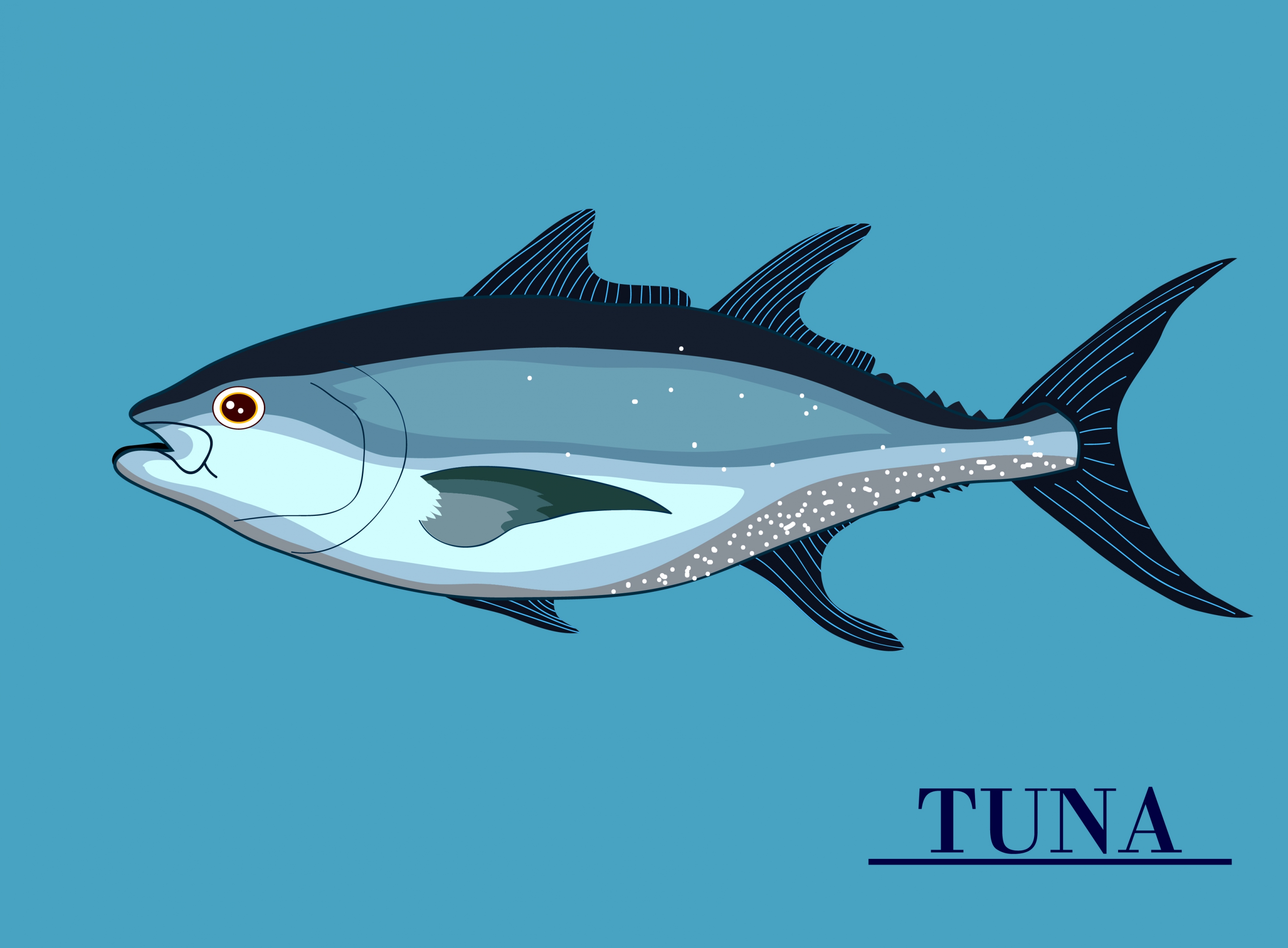 seafood background tuna icon decor