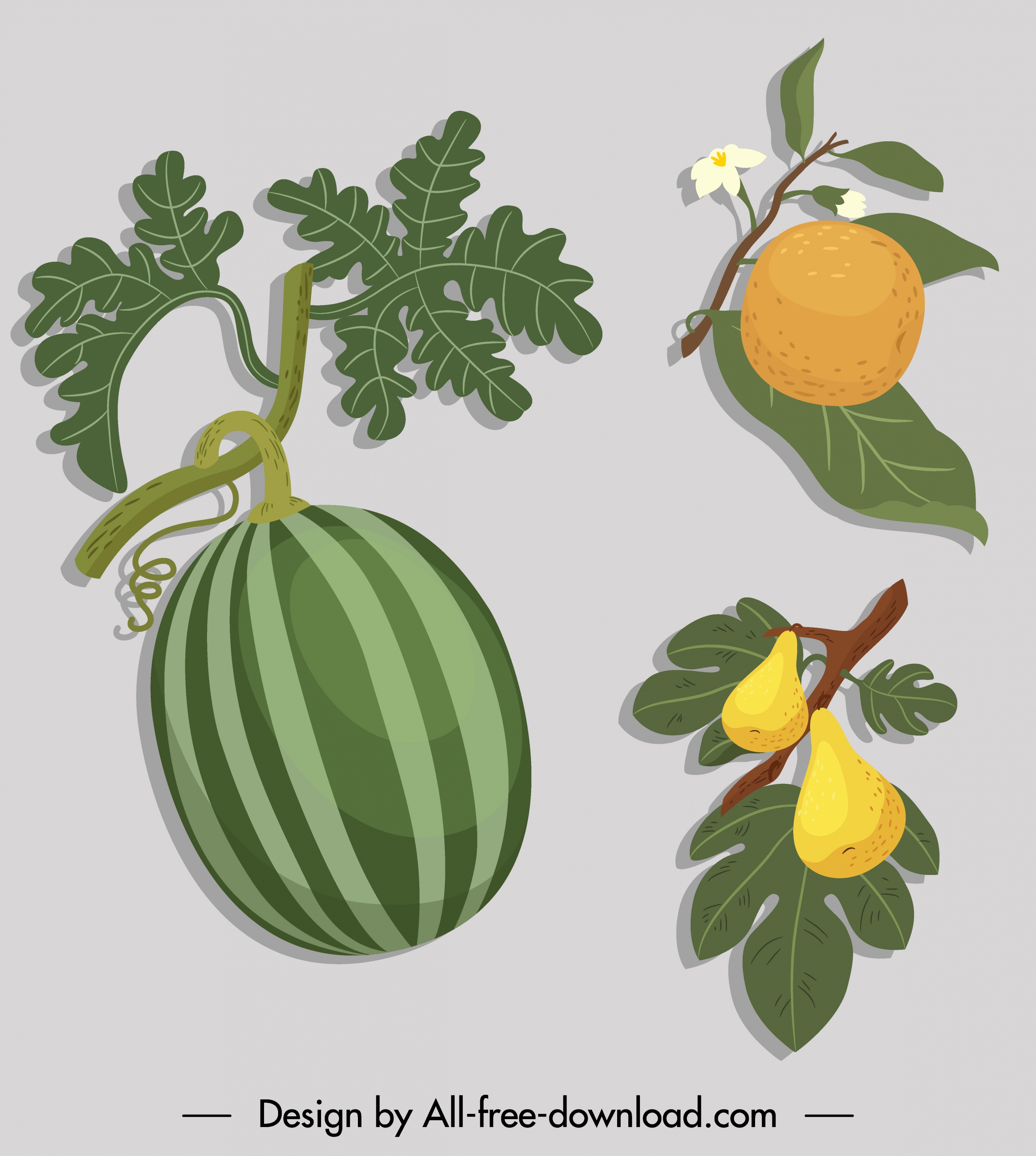 fruits icons colored classic sketch