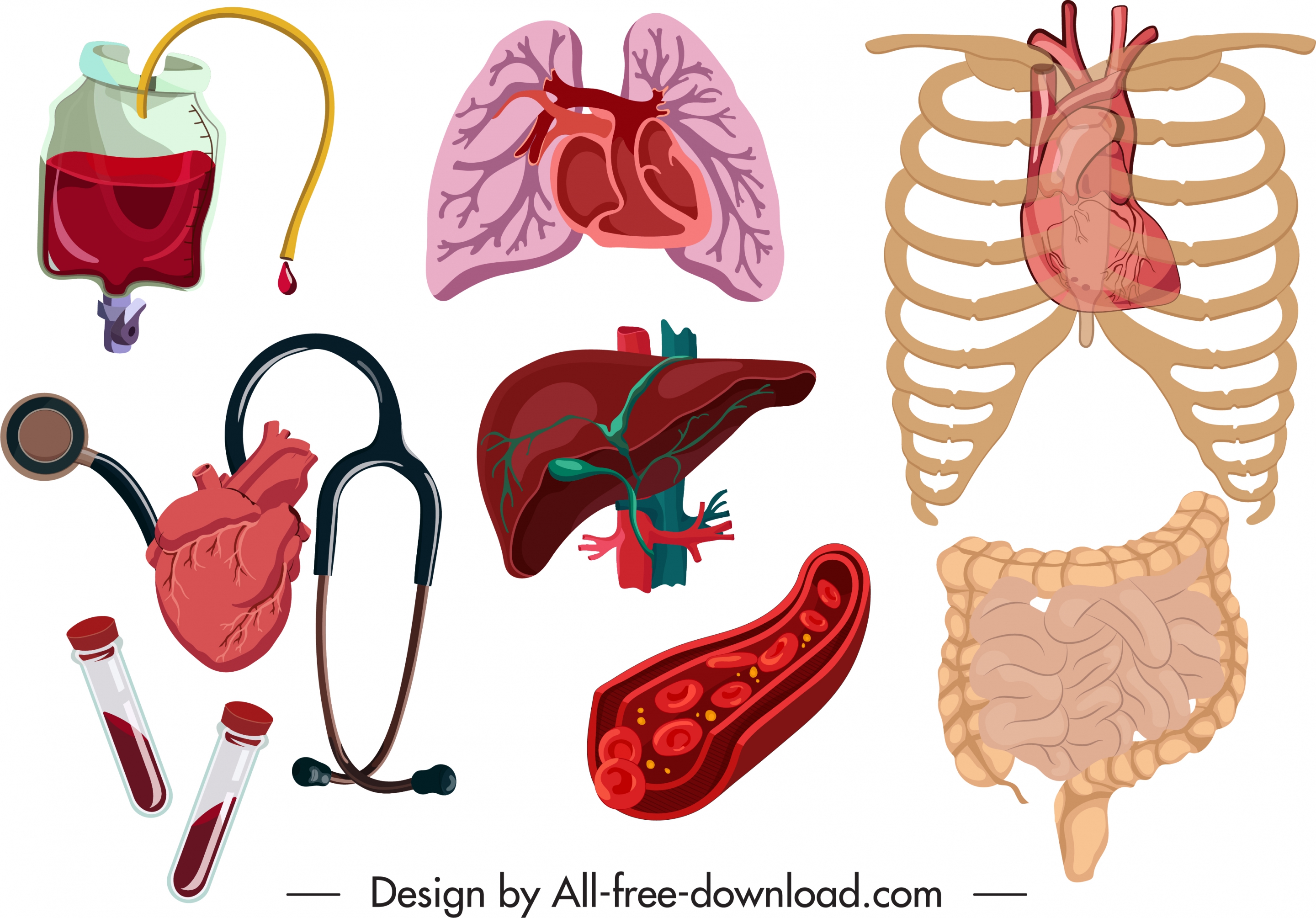 medical design elements viscera blood medical tools sketch