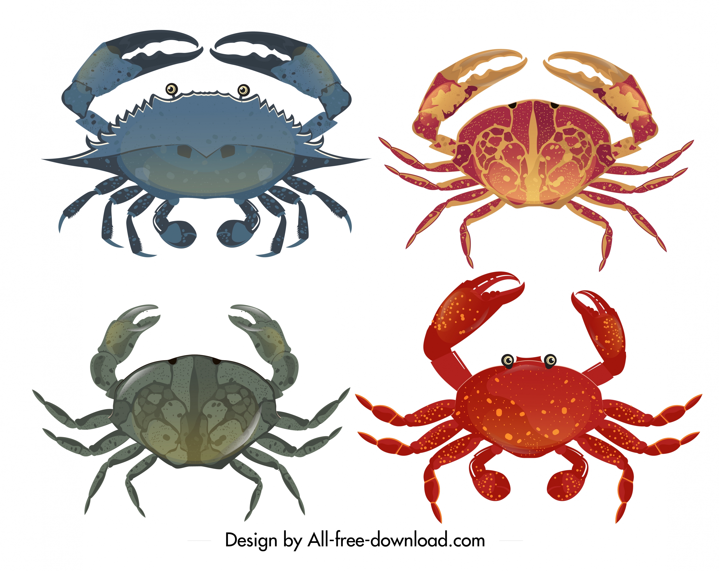 sea crab icon templates colorful modern design