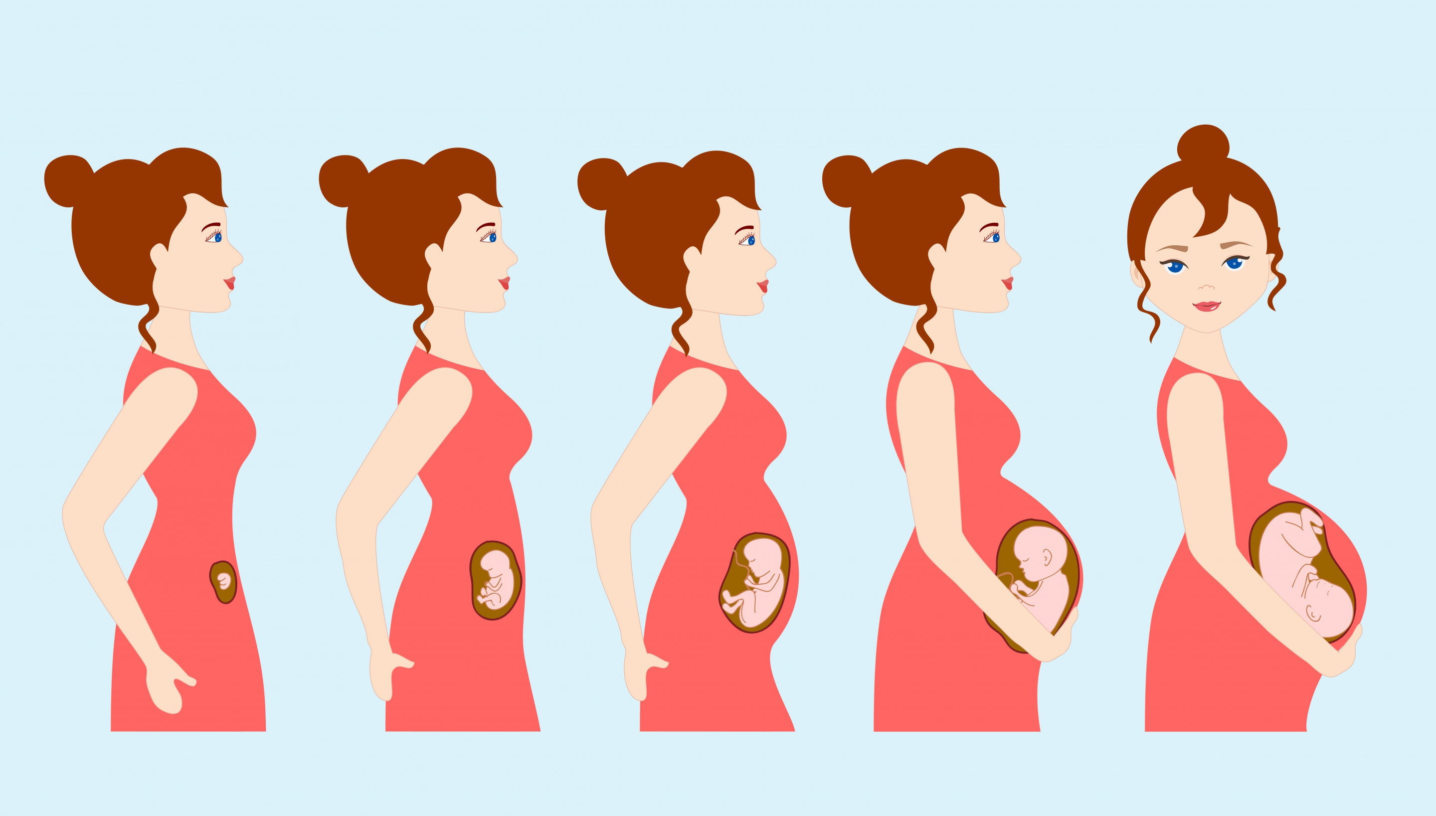 pregnancy background woman gestation steps icons cartoon character