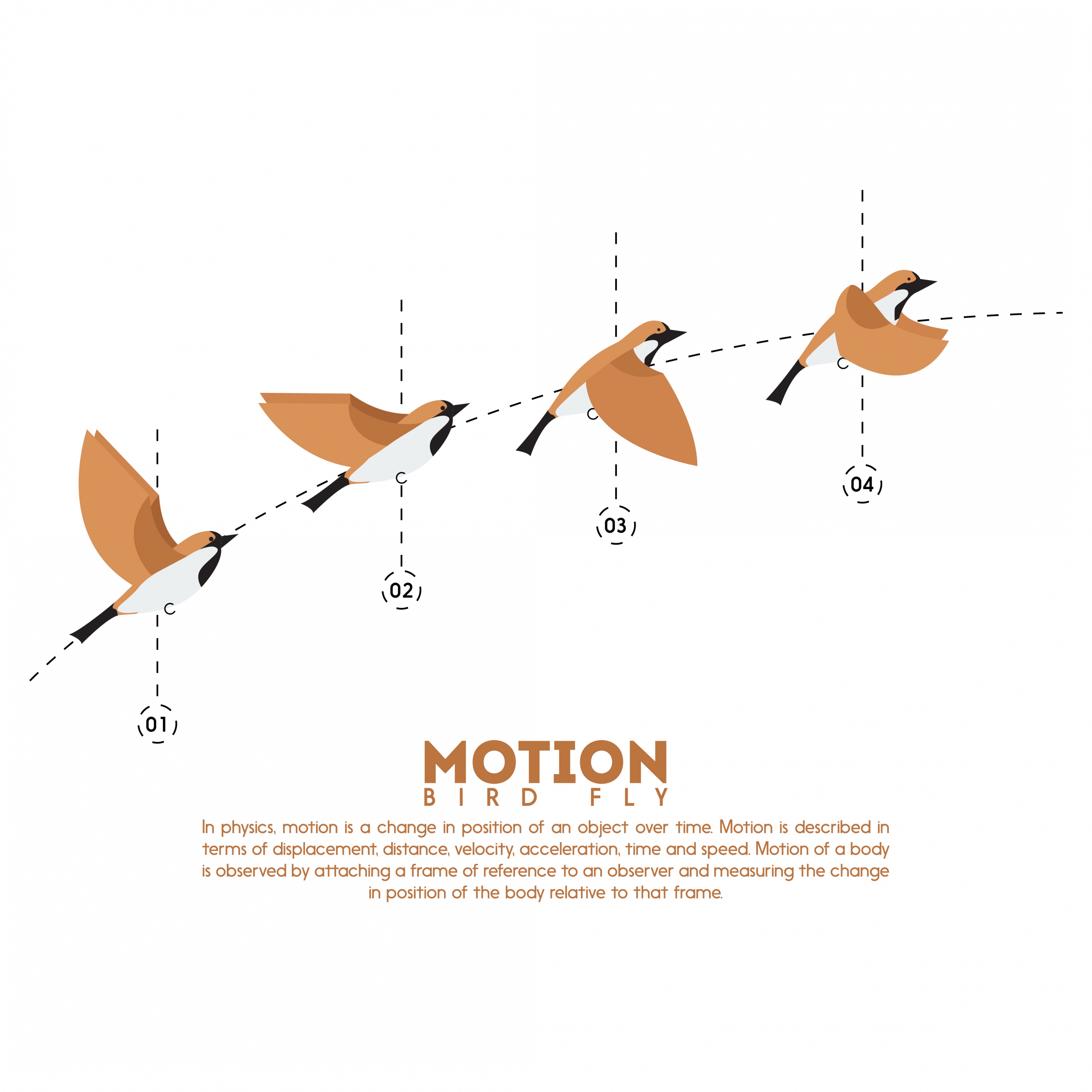 flying bird infographic motion outline