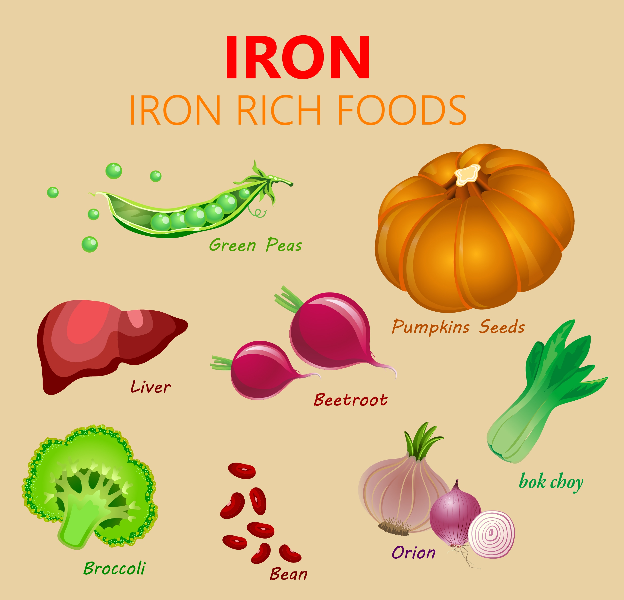 iron foods advertising various vegetables icons multicolored design