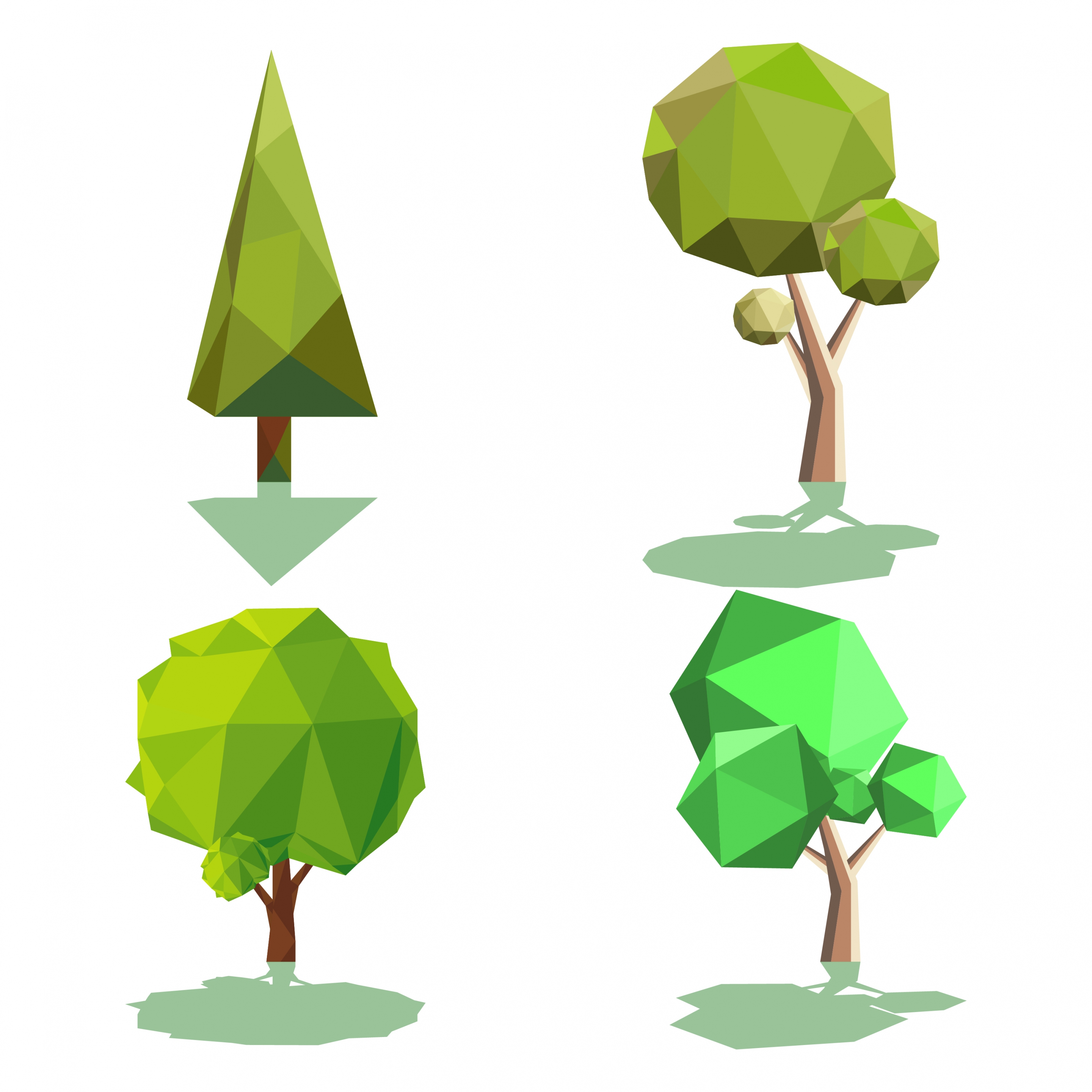 tree icons collection 3d colored polygonal design