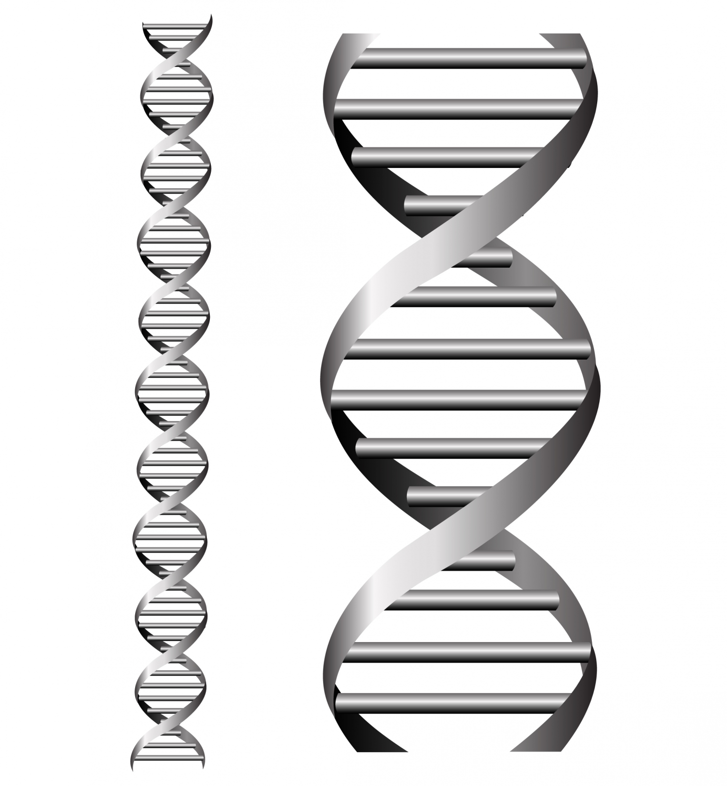 DNA