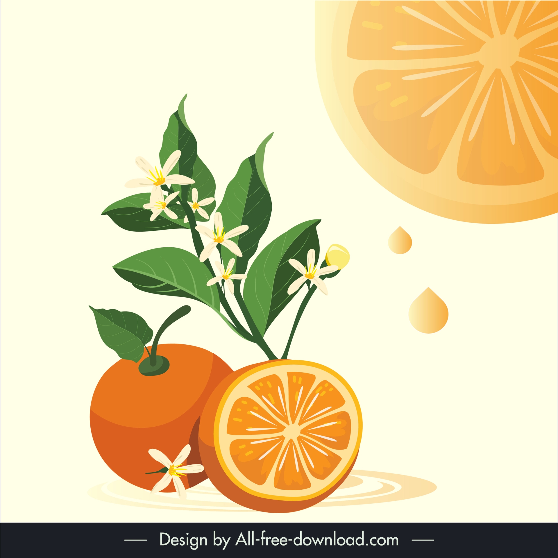 orange fruit background template flat fruit slice leaves juice