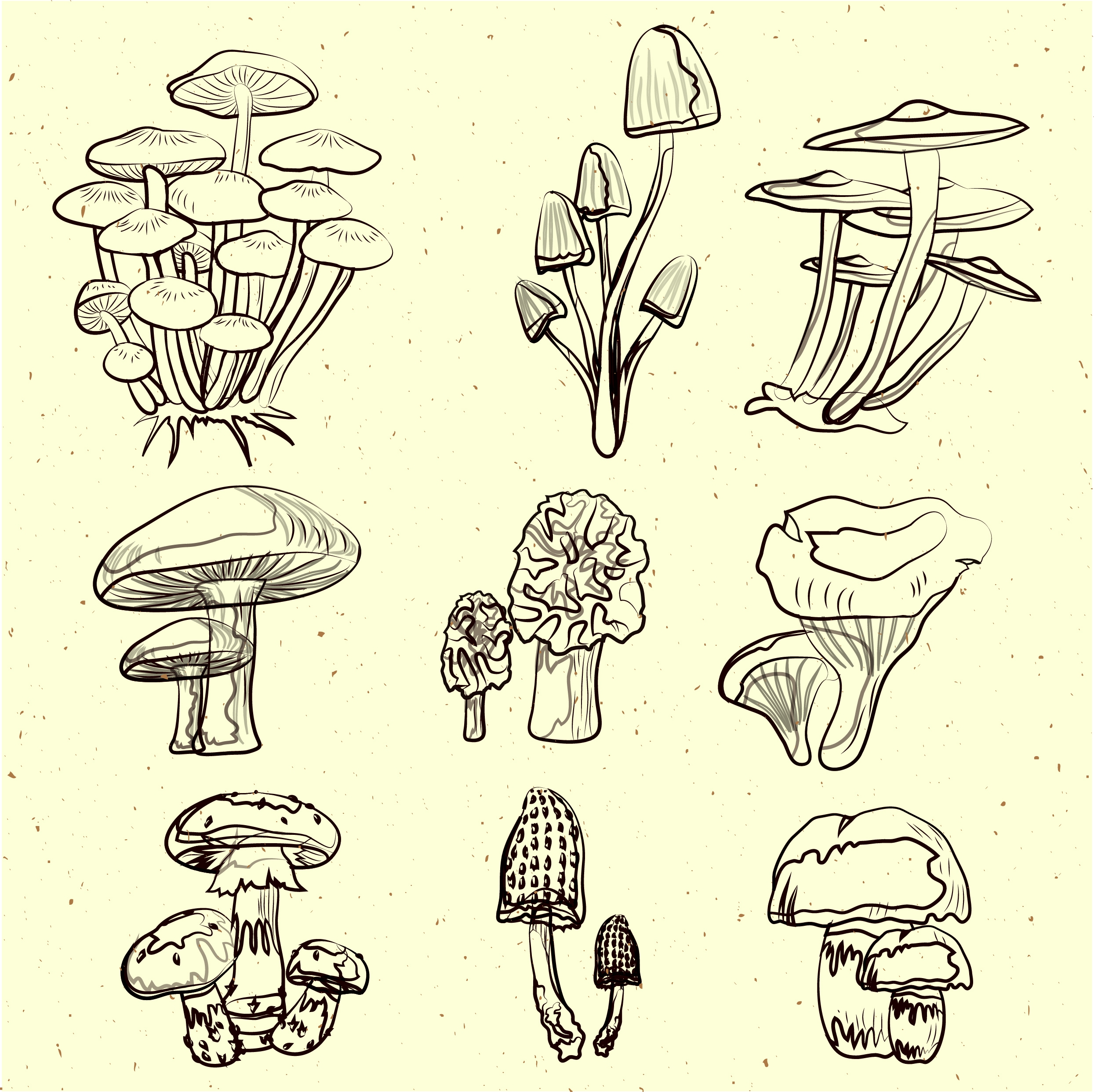 mushroom icons collection black white handdrawn sketch