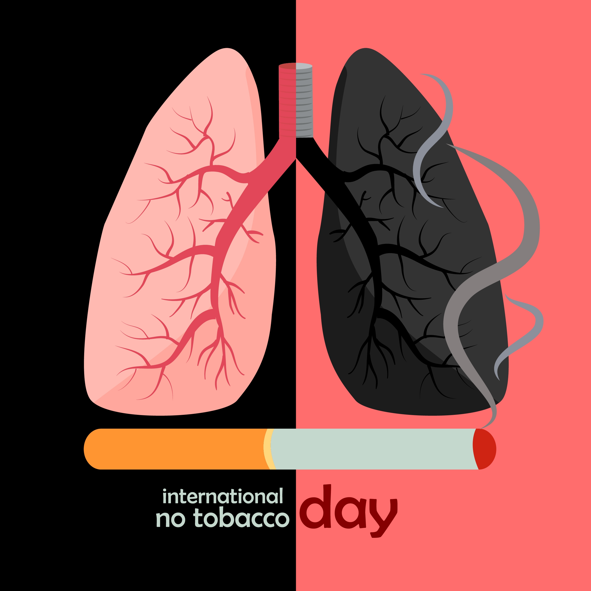 no smoking banner colored cigarette lungs icon