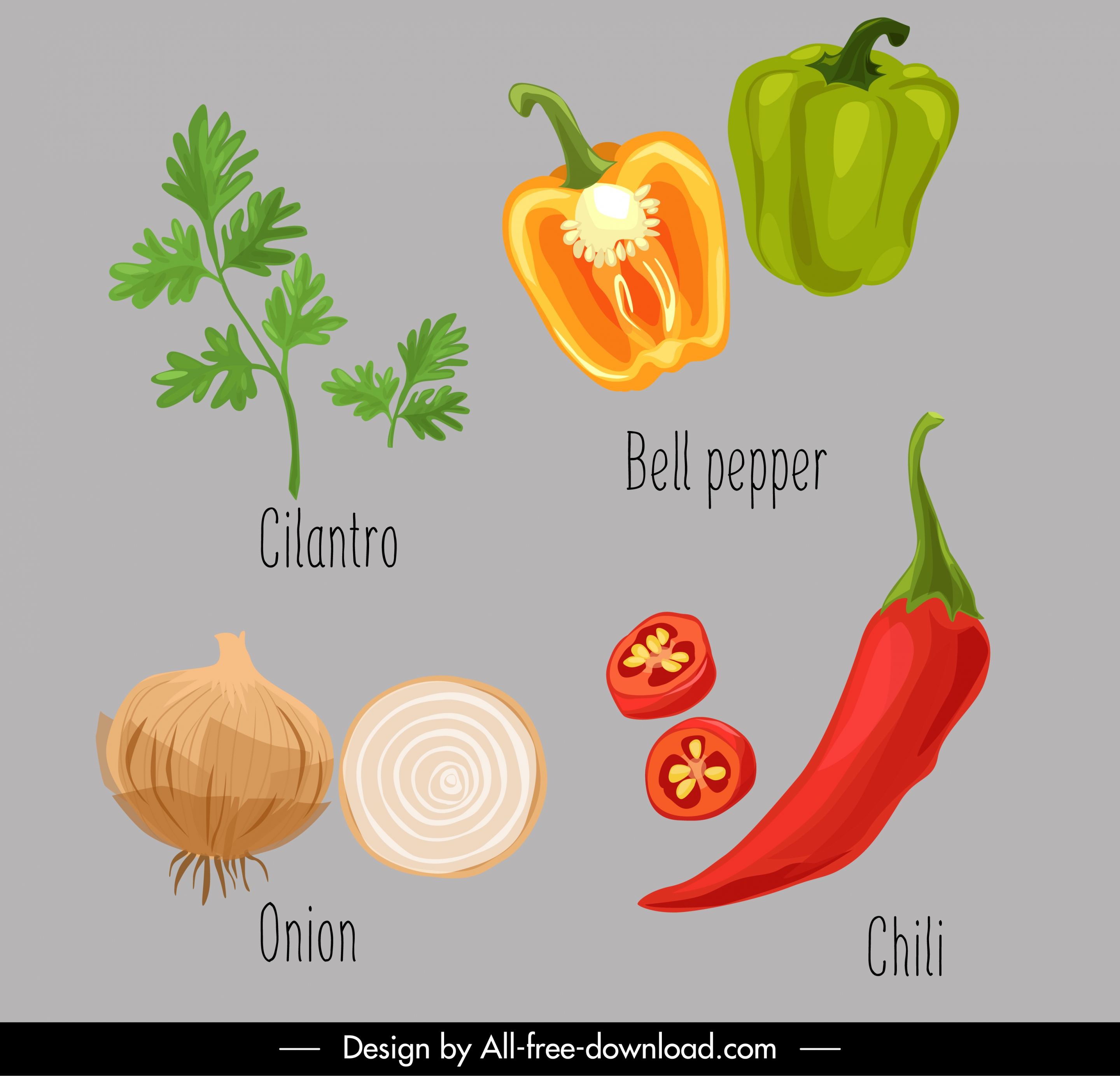 vegetables icons colored classical handdrawn outline