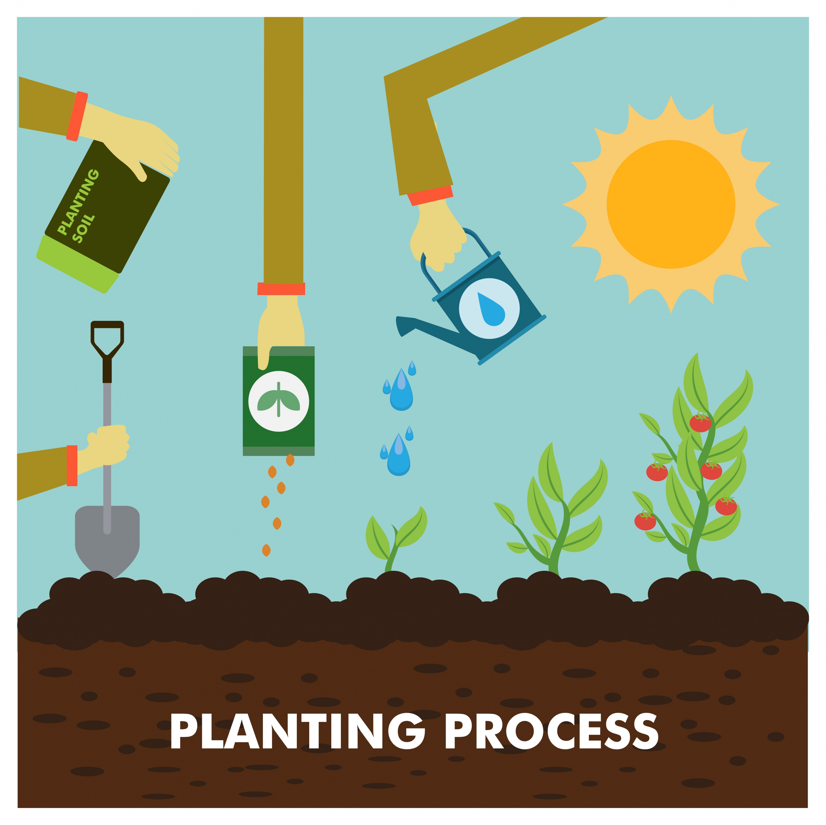 planting process concept illustration with colored flat style