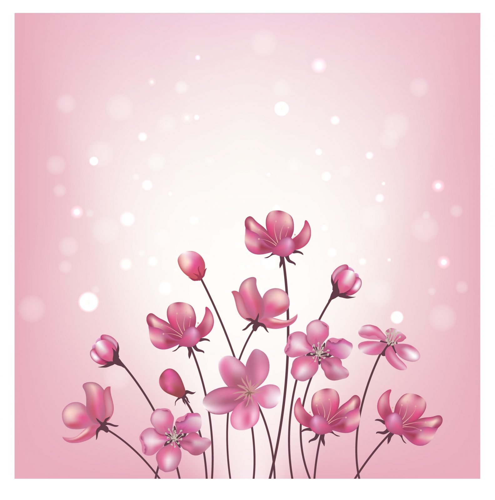 Pink flowers background.