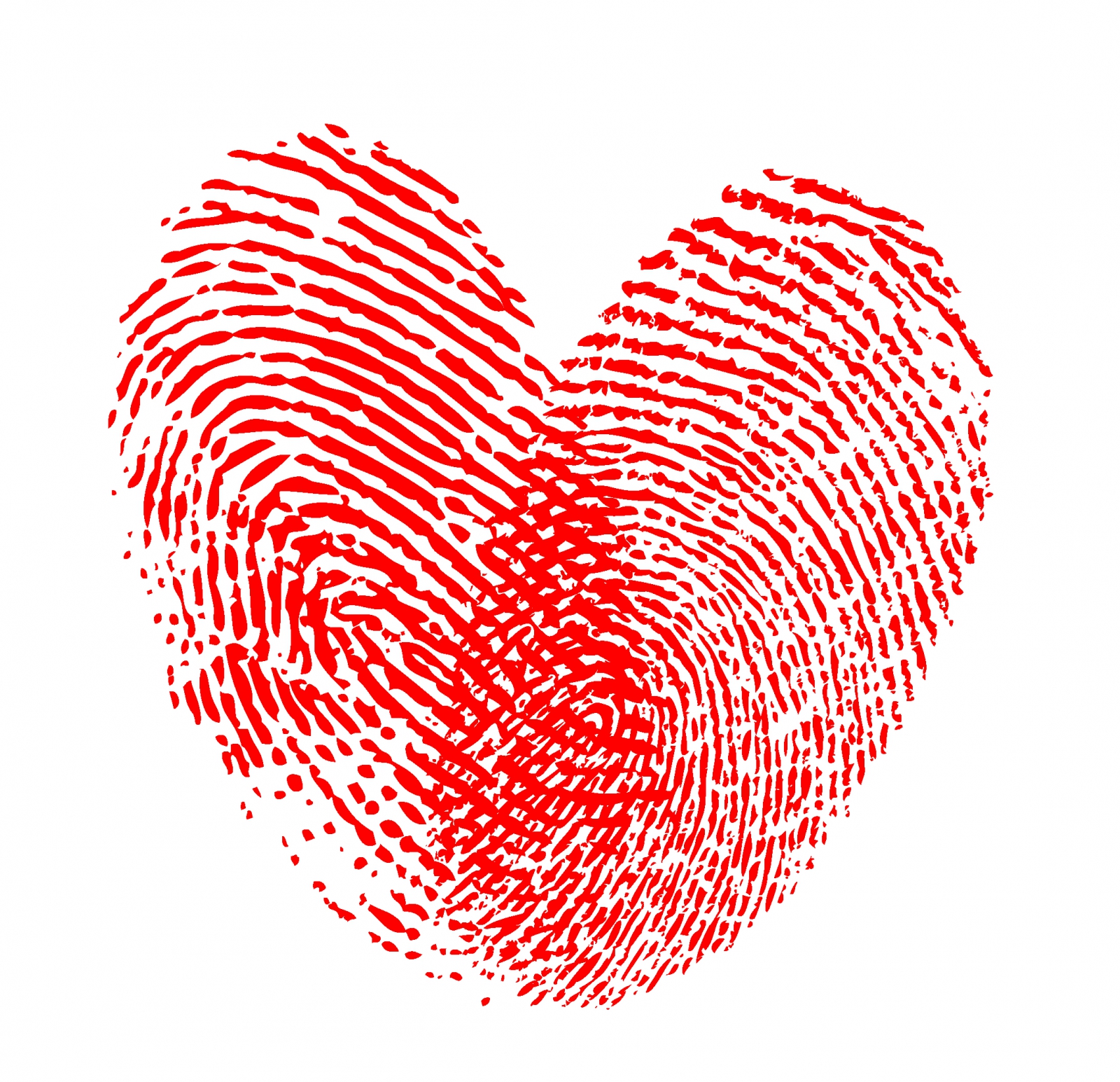 Heart Fingerprint 