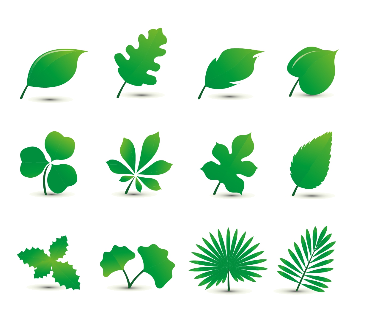 Leaf Set