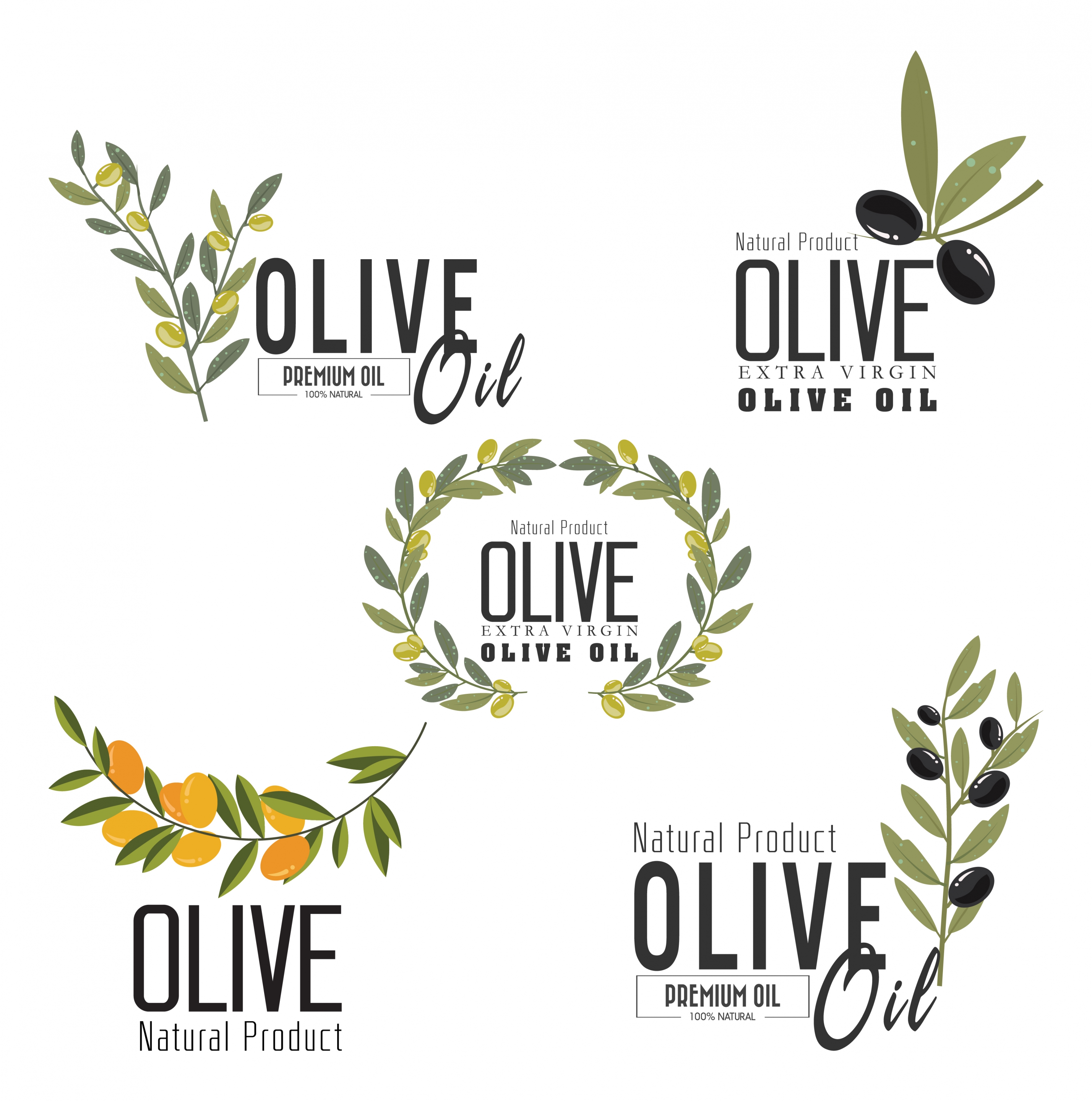 olive oil logotypes fruit leaf icons various decoration