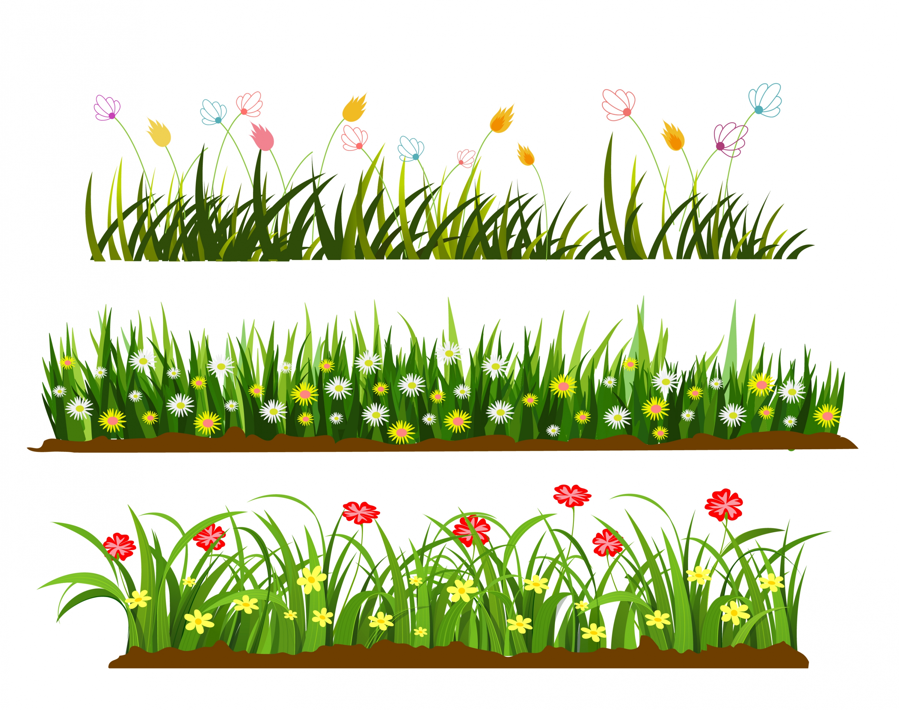 wild grass flowers templates colorful cartoon design